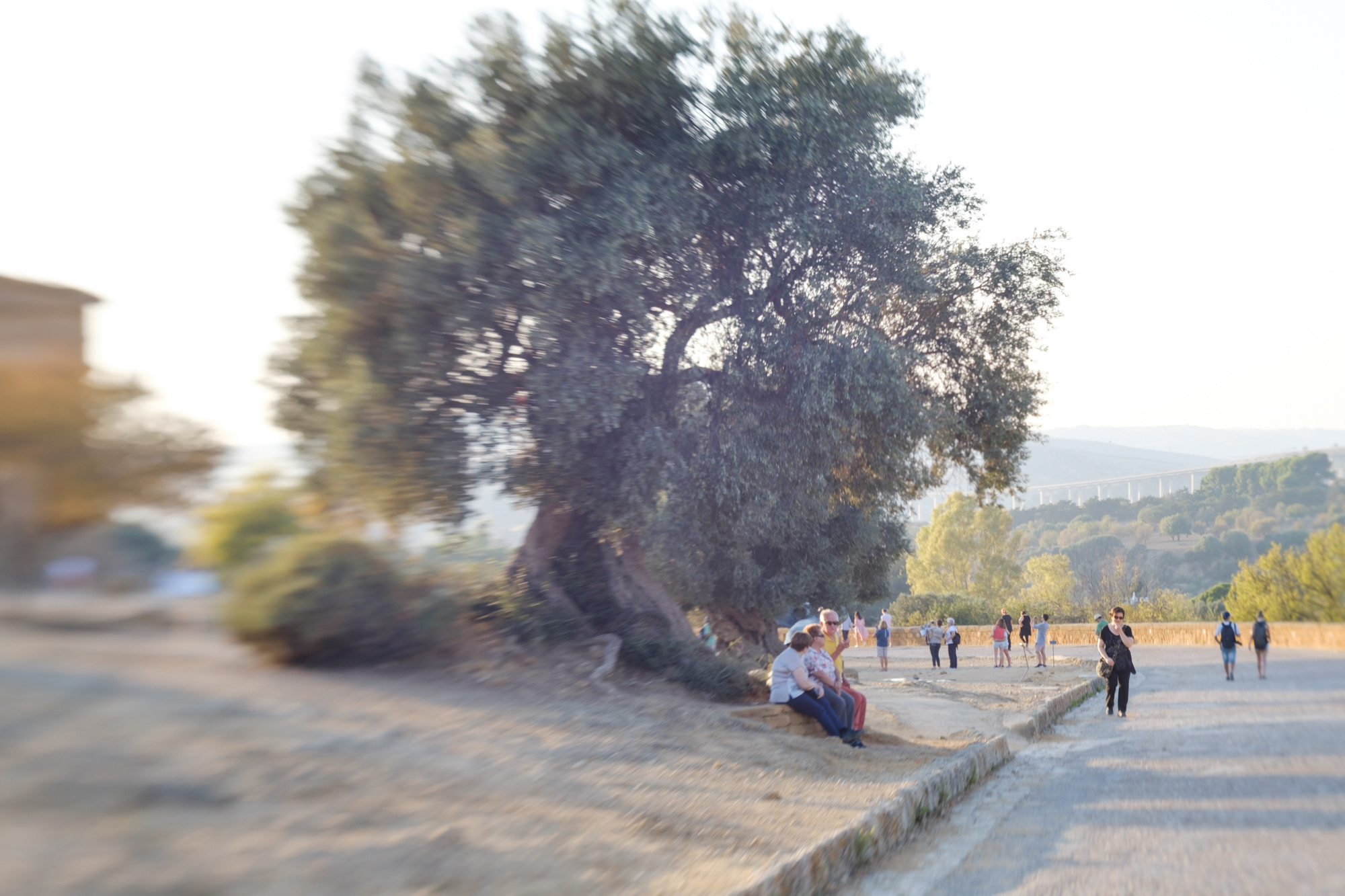 Travel. Porto Photographer Kristina Brazhnikova