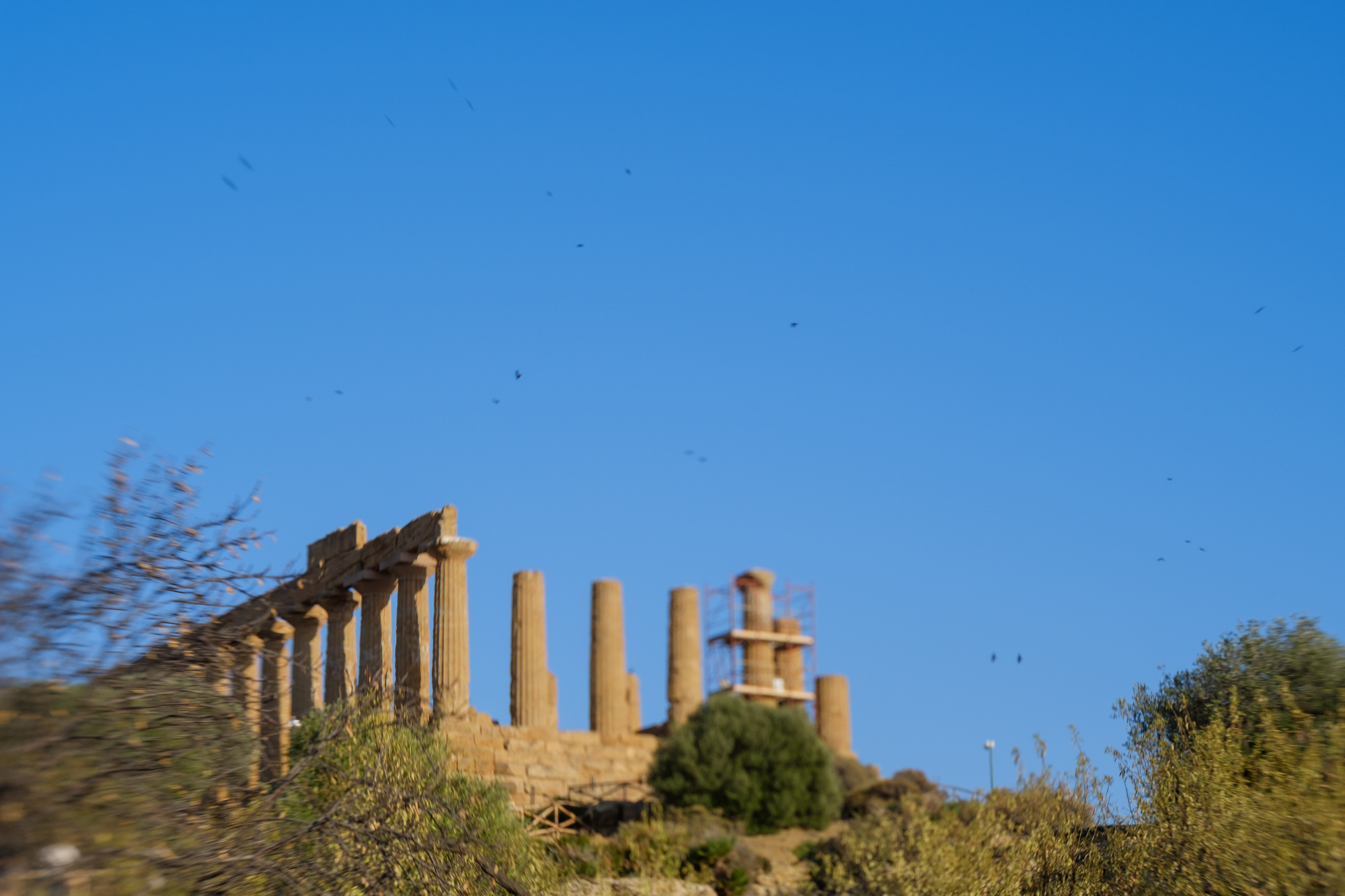 Travel. Porto Photographer Kristina Brazhnikova