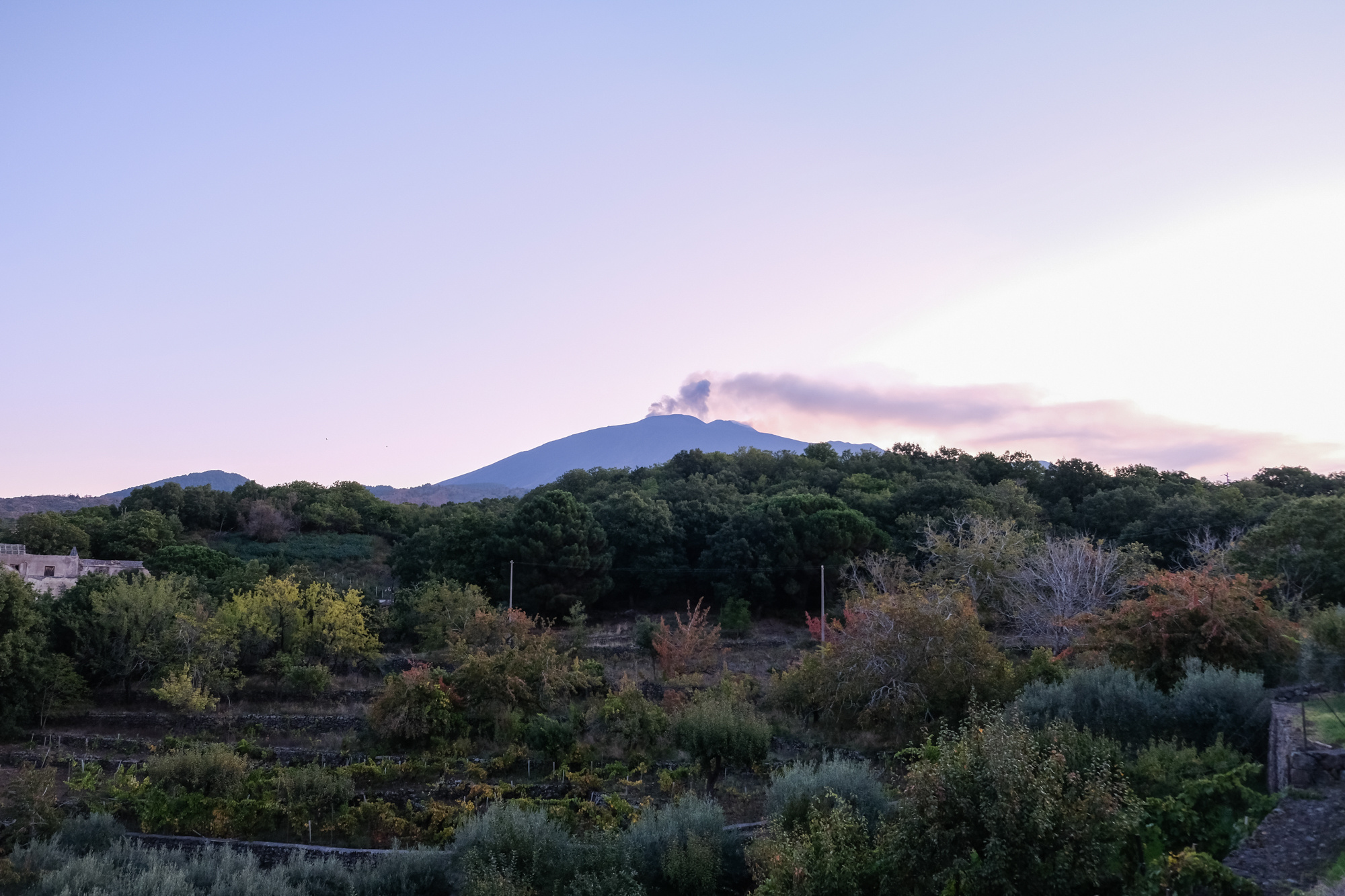 Travel. Porto Photographer Kristina Brazhnikova