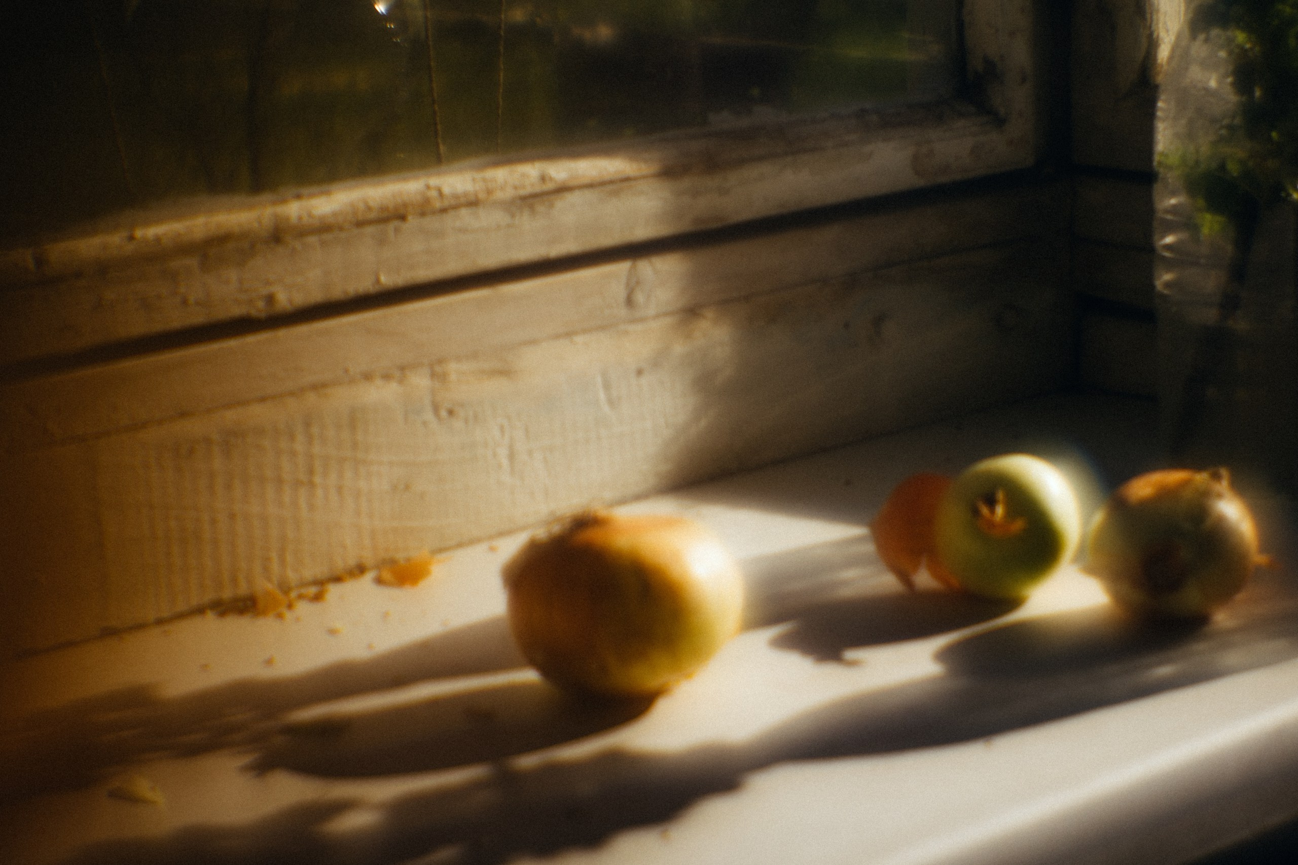 Поэзия повседневности. Семейный фотограф в Москве Марина Аргунова