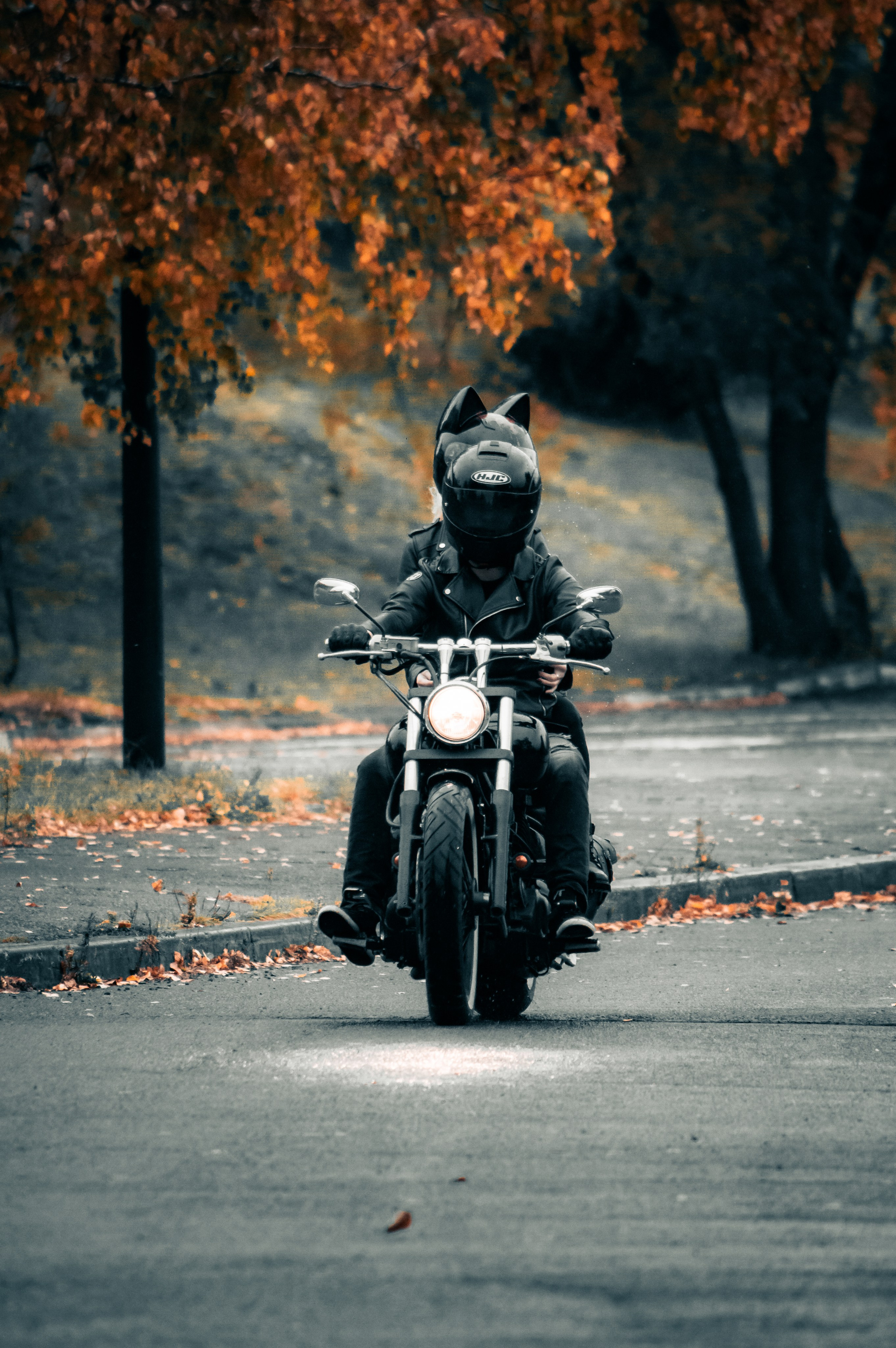 Последние дни осени. G G L V D M T R | Фотограф в Красноярске