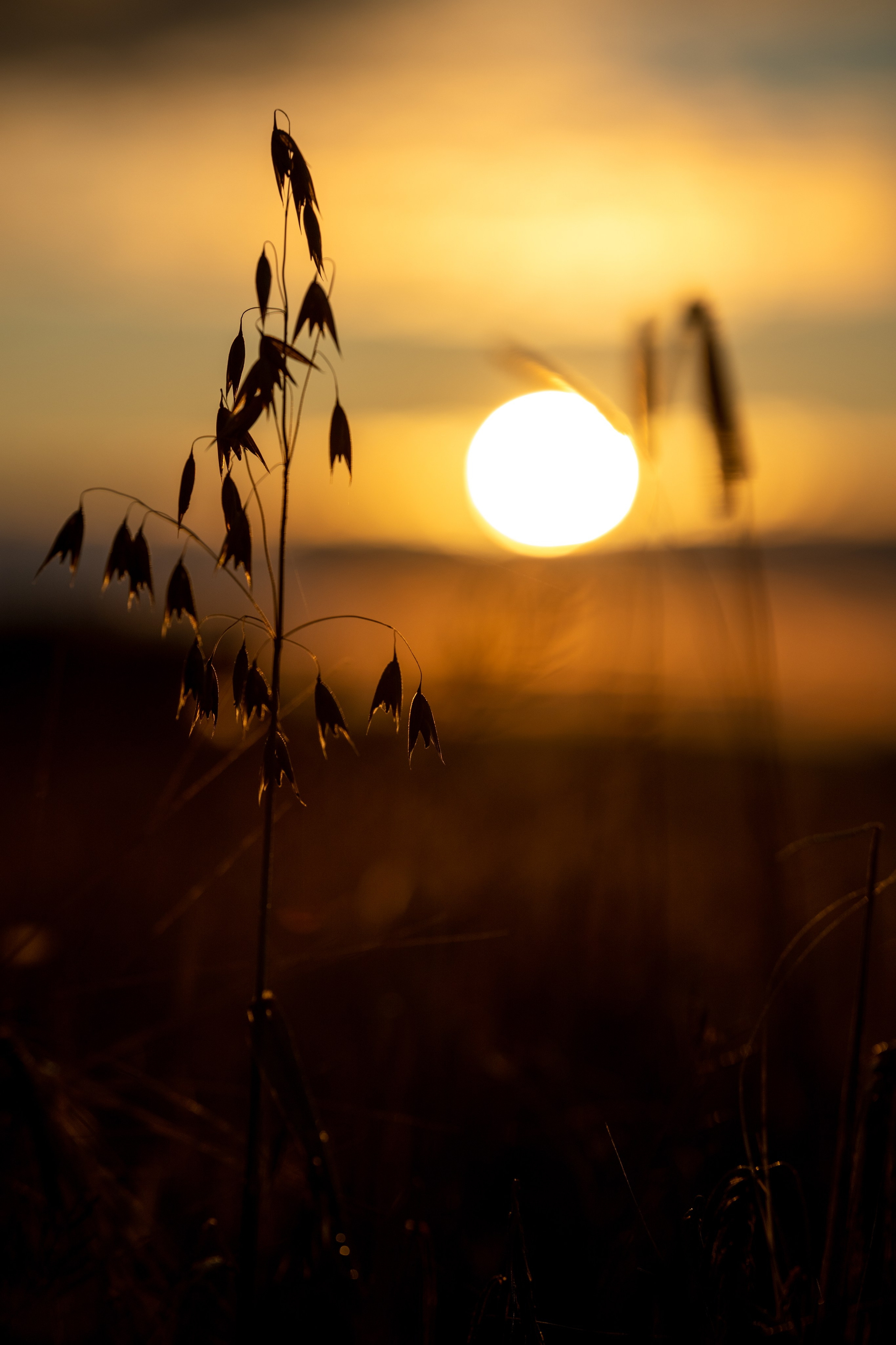 Природные пейзажи. Наталия Клевинскас портретный фотограф в Костроме