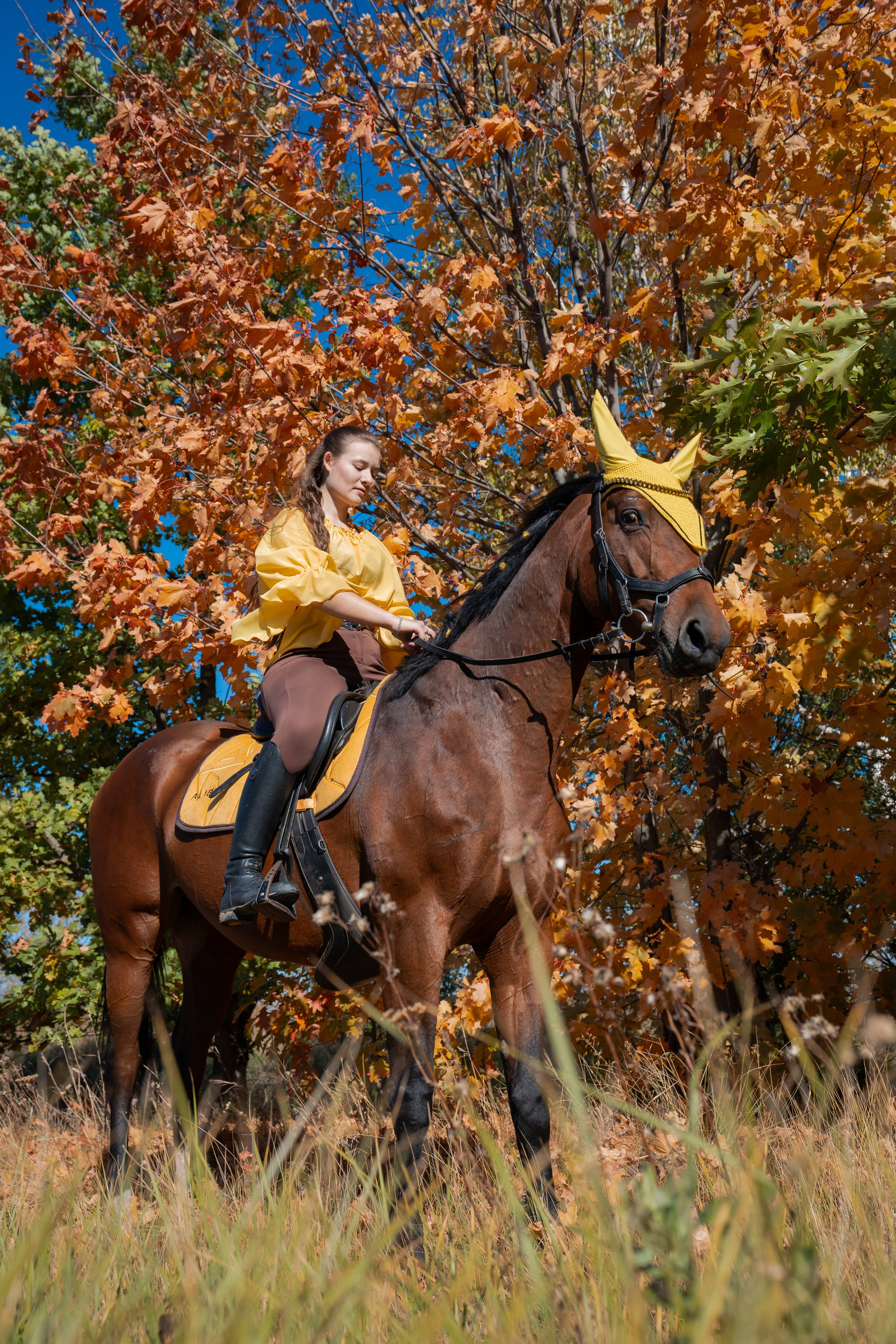 Фотосессия с лошадьми