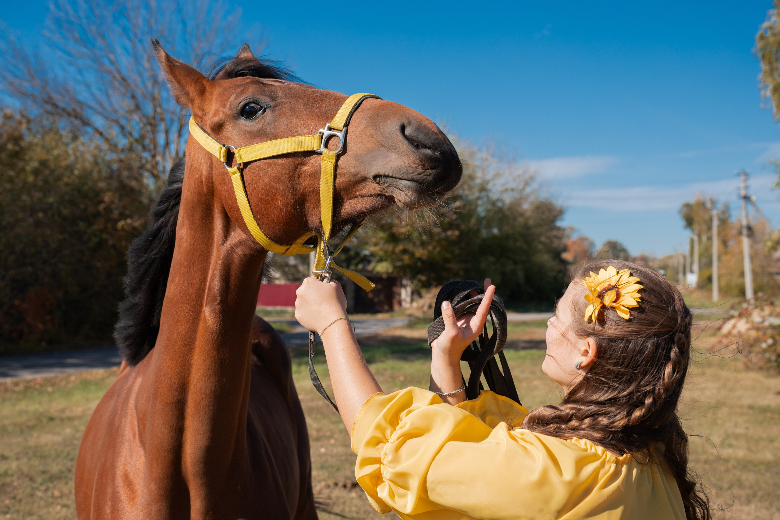 Фотосессия с лошадьми