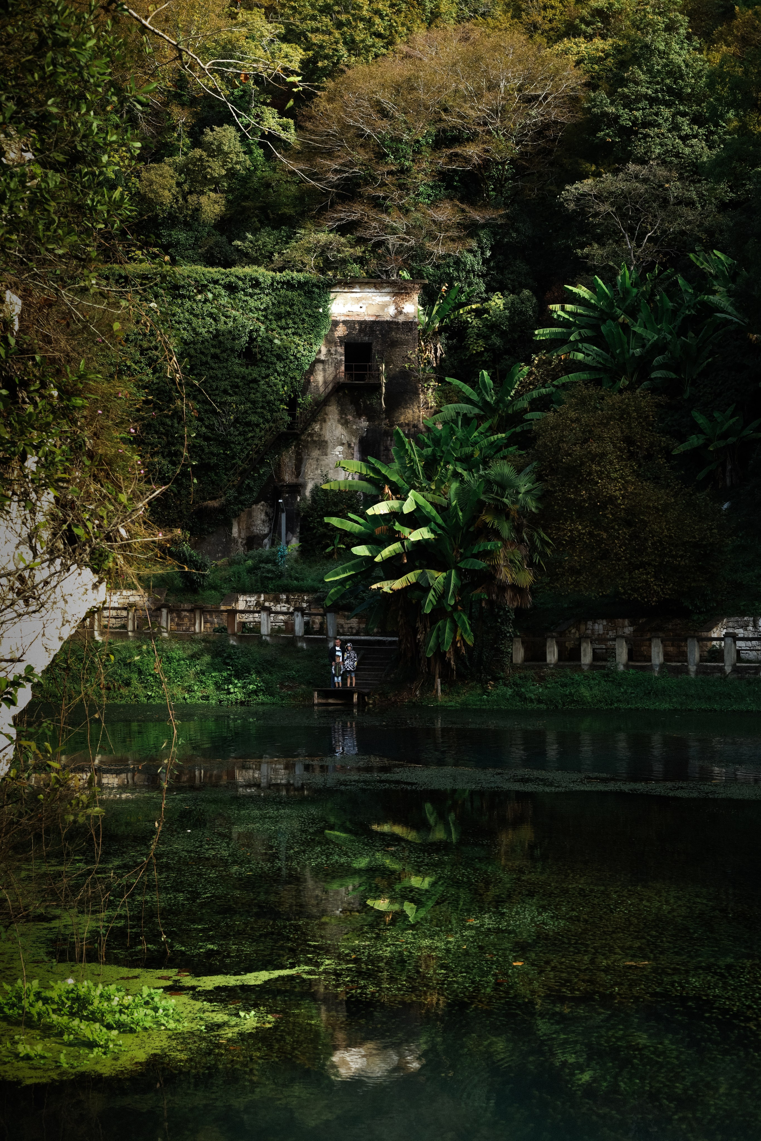 Абхазия 2023. Свадебный и семейный фотограф Анна Печенкина