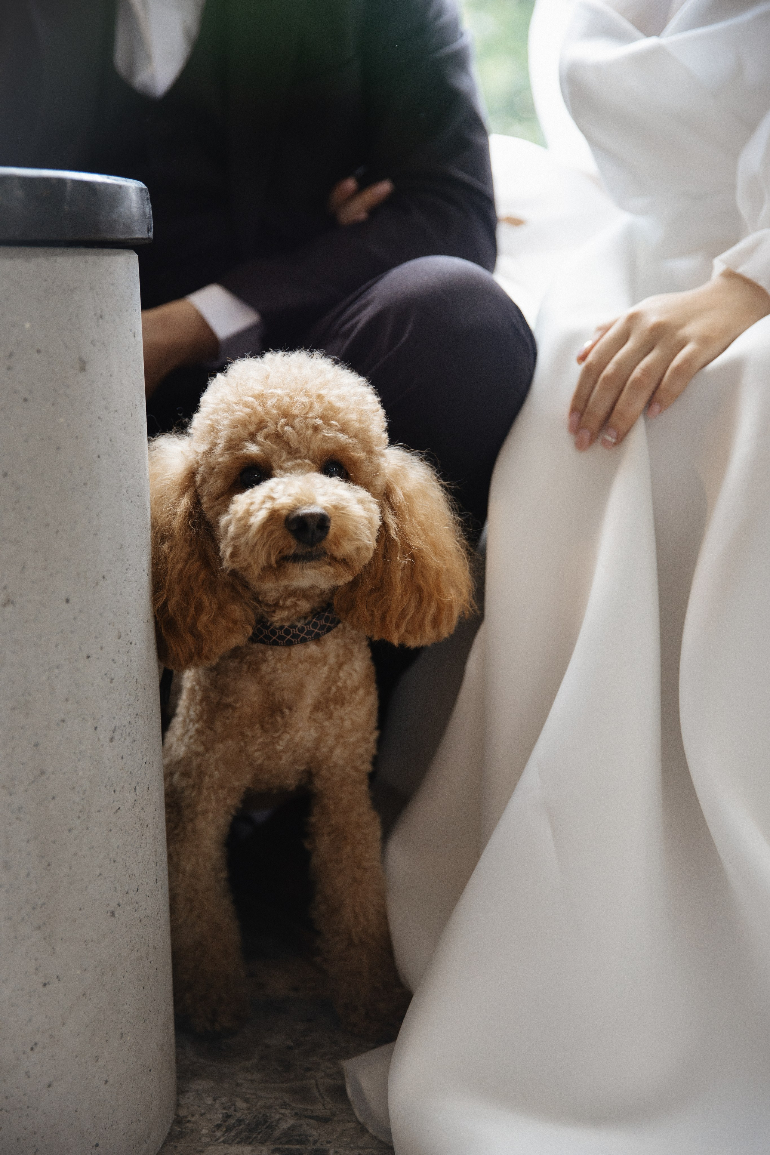 Диана & Рустам