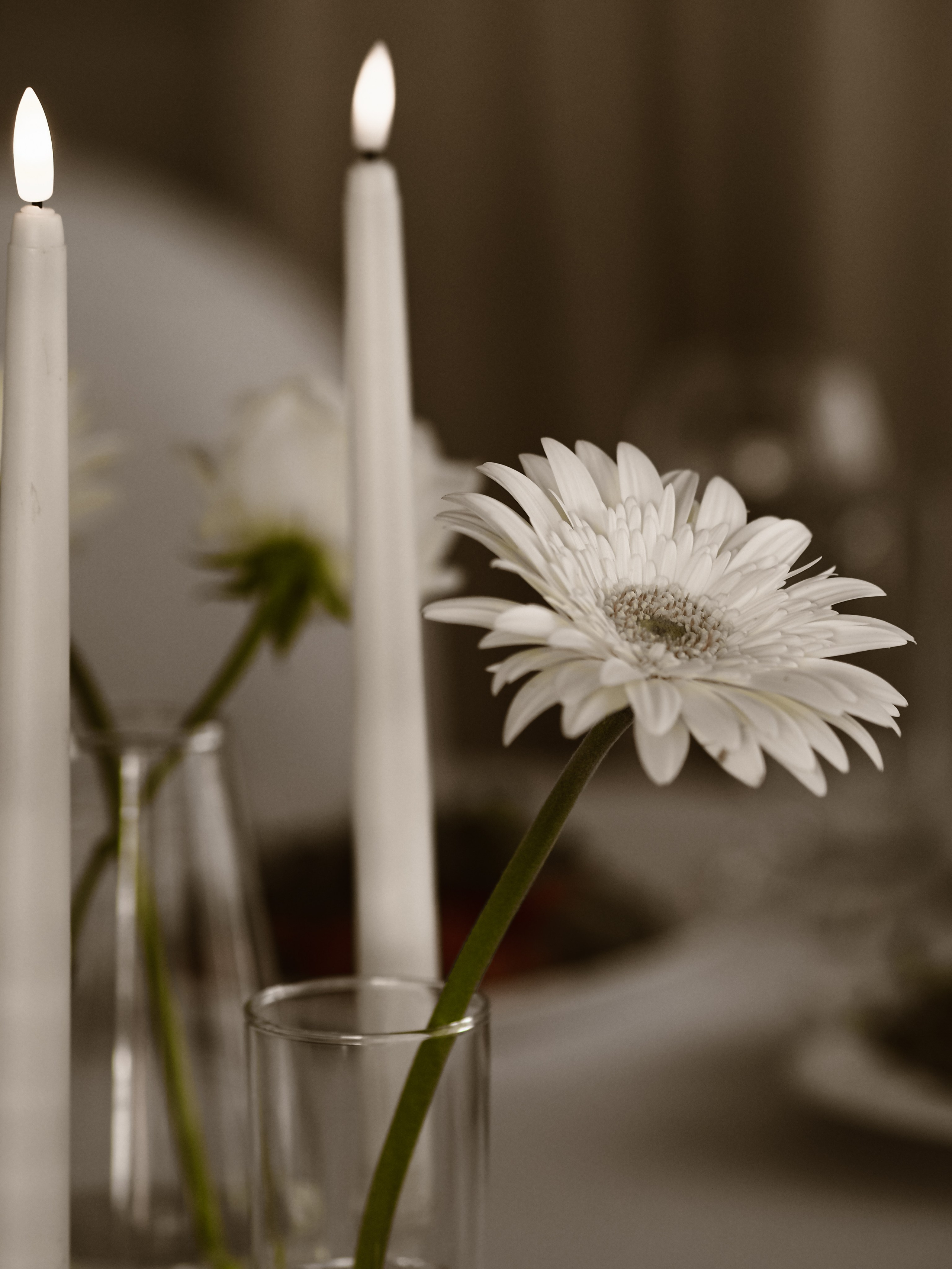 Виктория-Максим. Фотограф Рязань. Семейный Свадебный фотограф