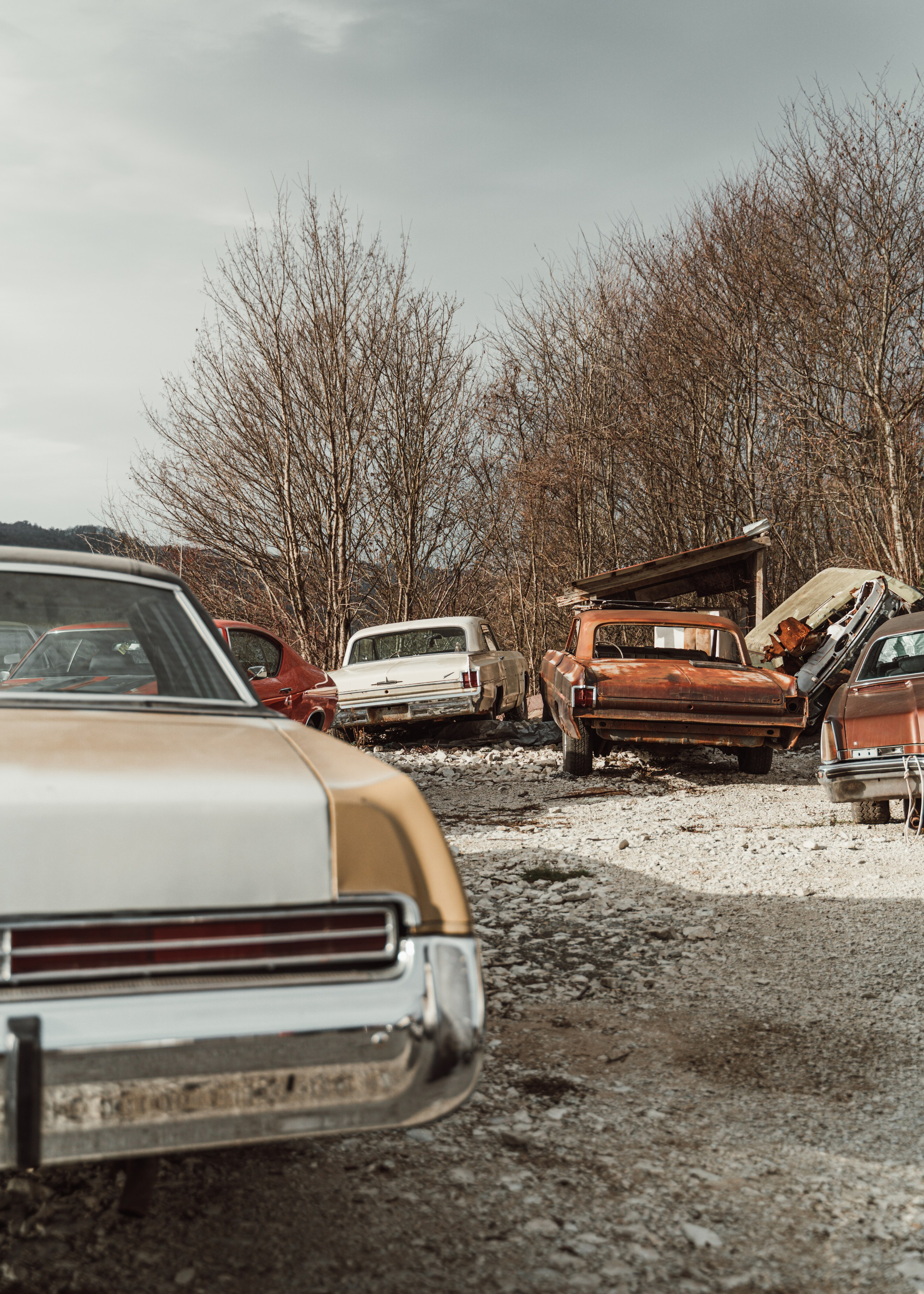 Rusty Junkyard. Автомобильный и просто лучший фотограф в Сочи Nikita No Name