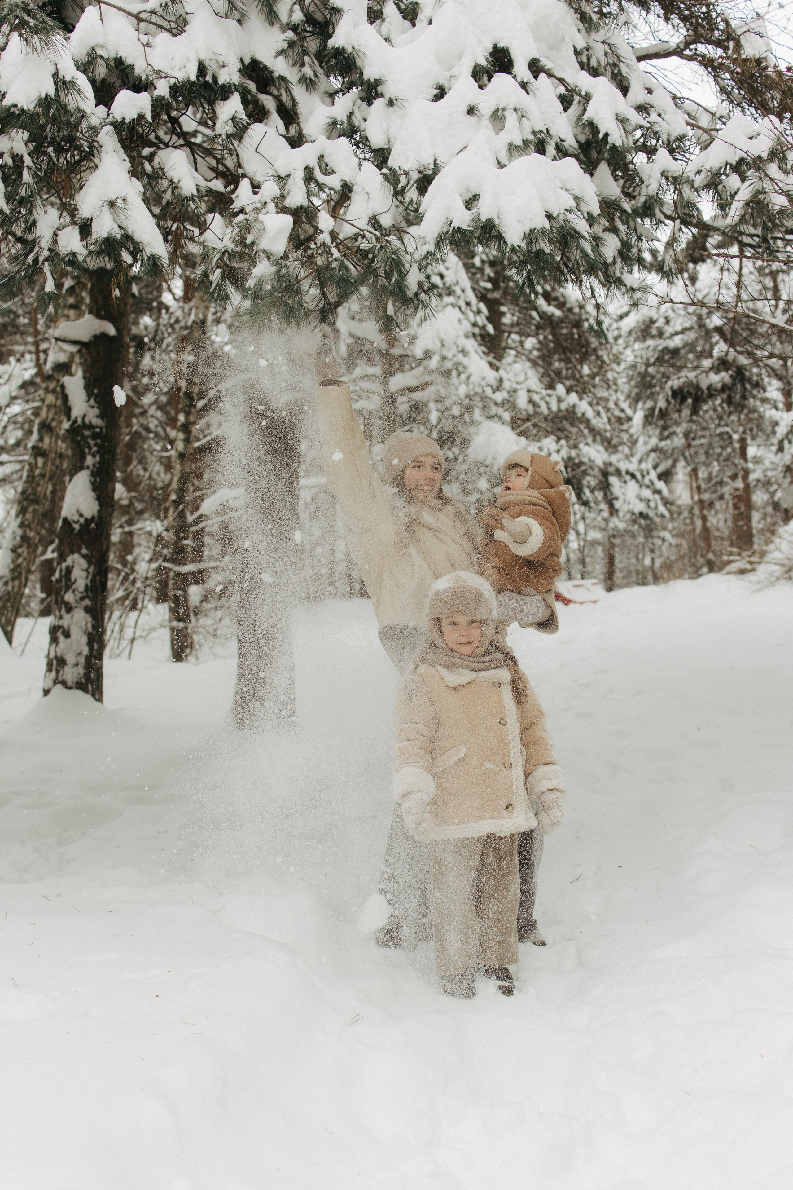 Снежный лес. Фотограф Анастасия Бобылева, Москва и Московская область