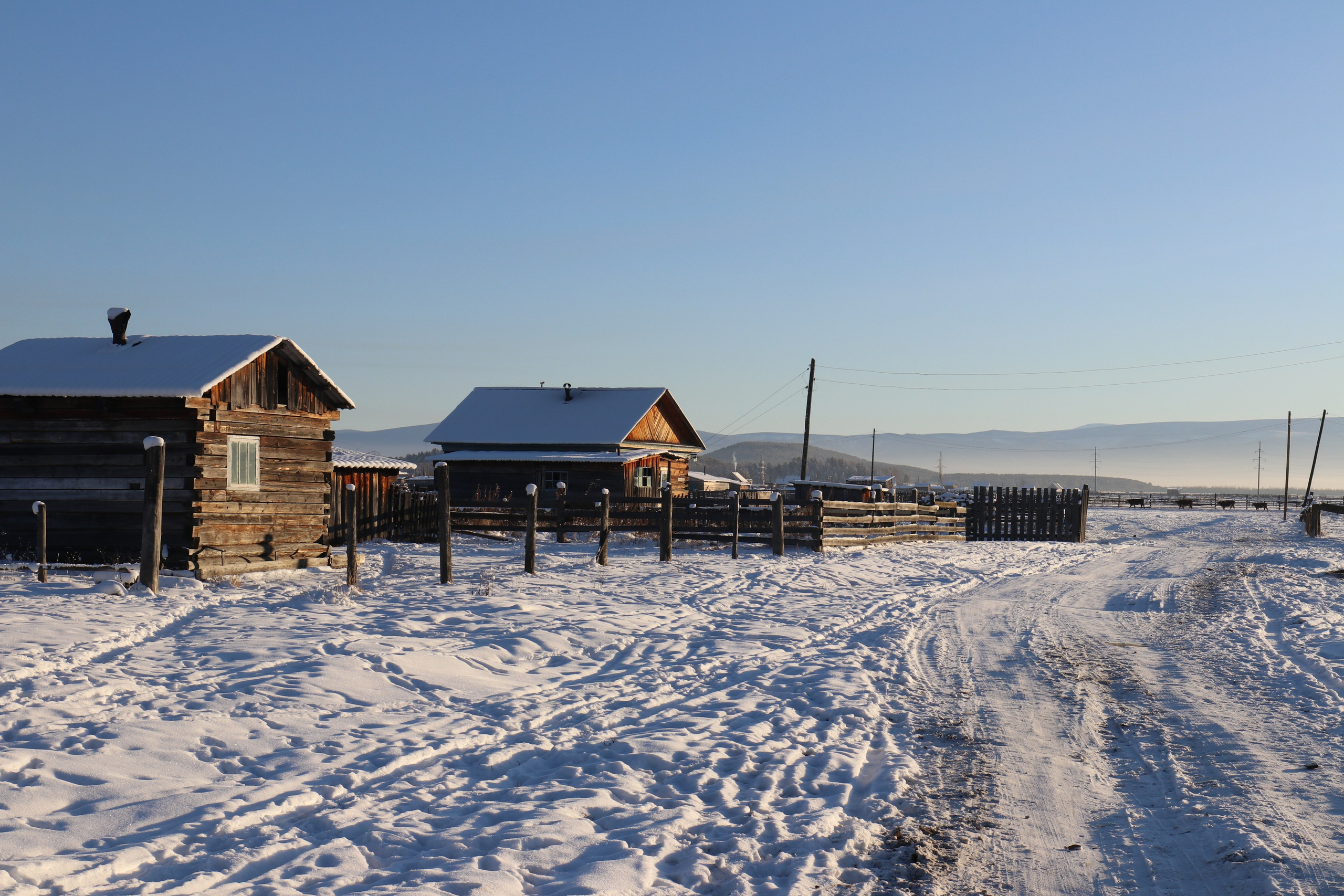 Аршан. Январь 2022. Путешественник-фотограф из Санкт-Петербурга Татьяна Свистулина