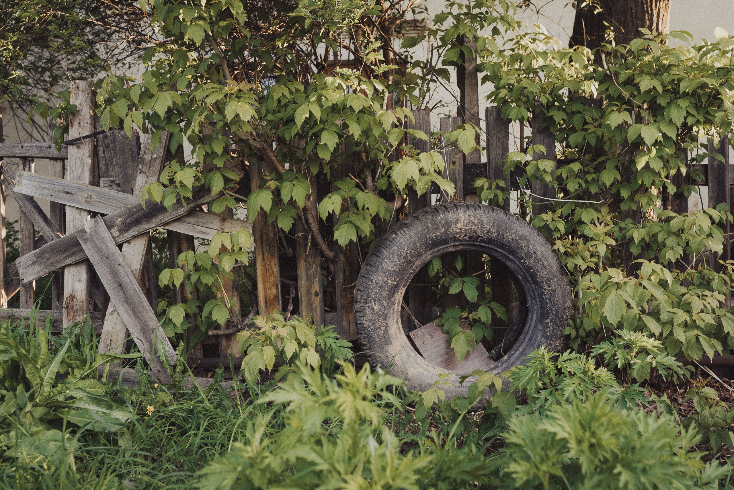 Проект #улицыгорода. Ярославль, ул. Карла Либкнехта. Документальный фотограф Илья Тихановский