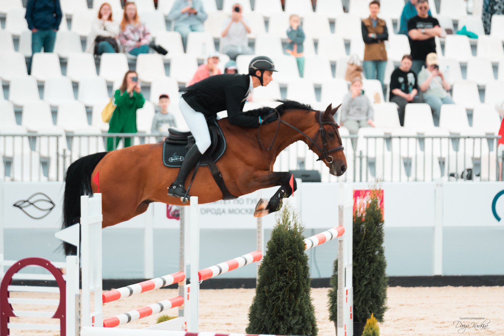 BITRIVER CUP 2023. Конный фотограф Куракина Дарья • Фотосессии с лошадьми