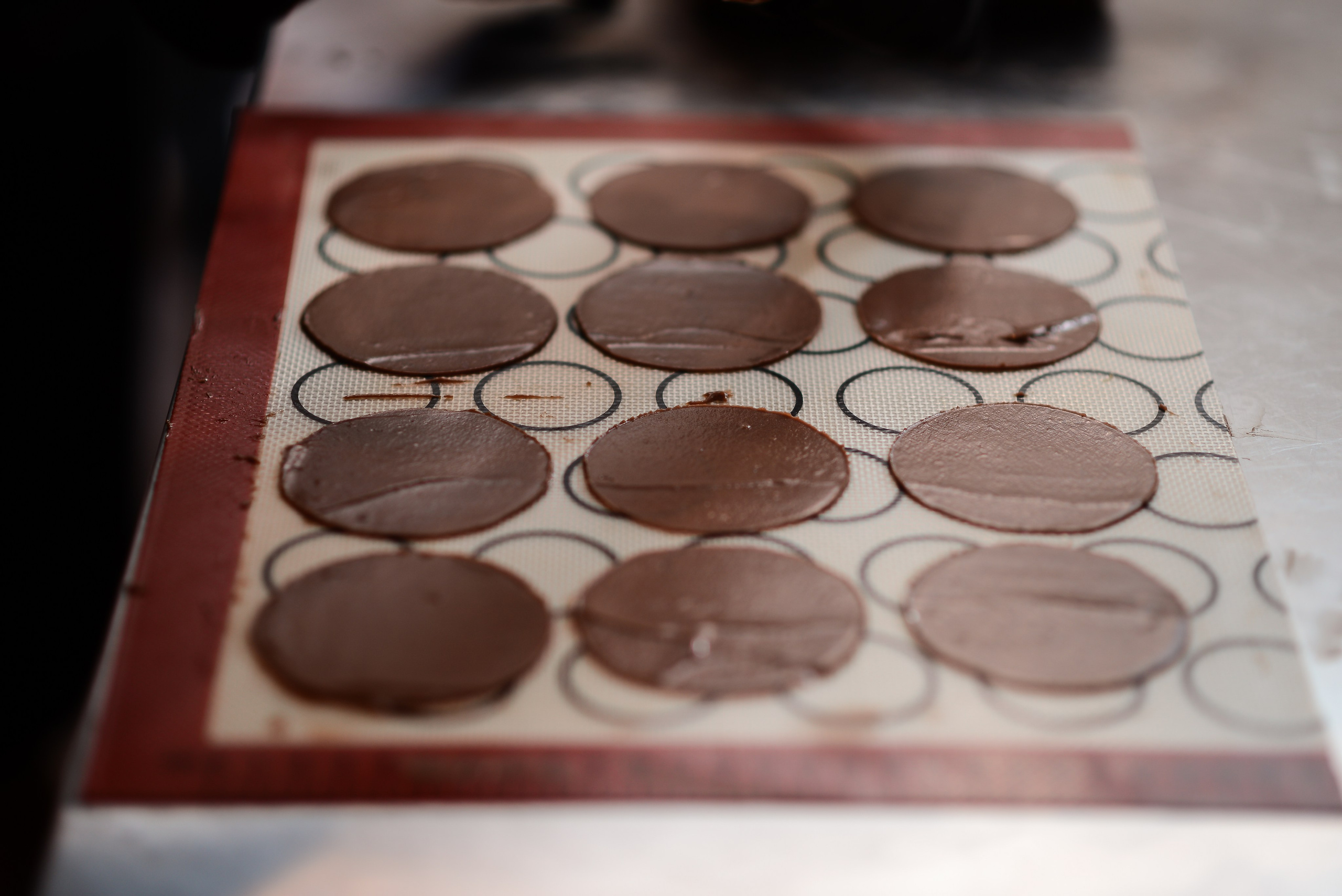 Ratatouille. Фотограф Астана, Алматы