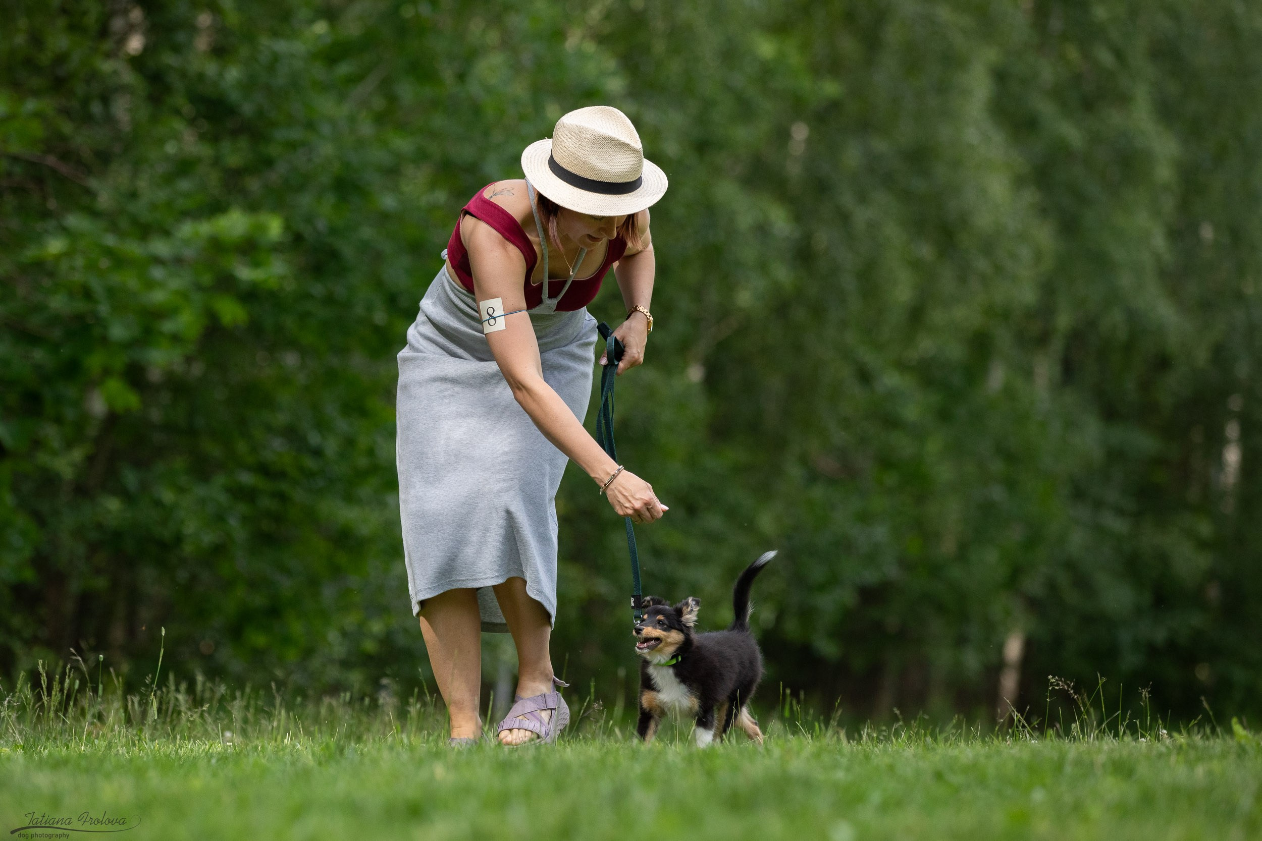 Репортаж с выводки молодняка колли/шелти в Ясенево. Фотограф-анималист в Москве и Московской области Татьяна Фролова