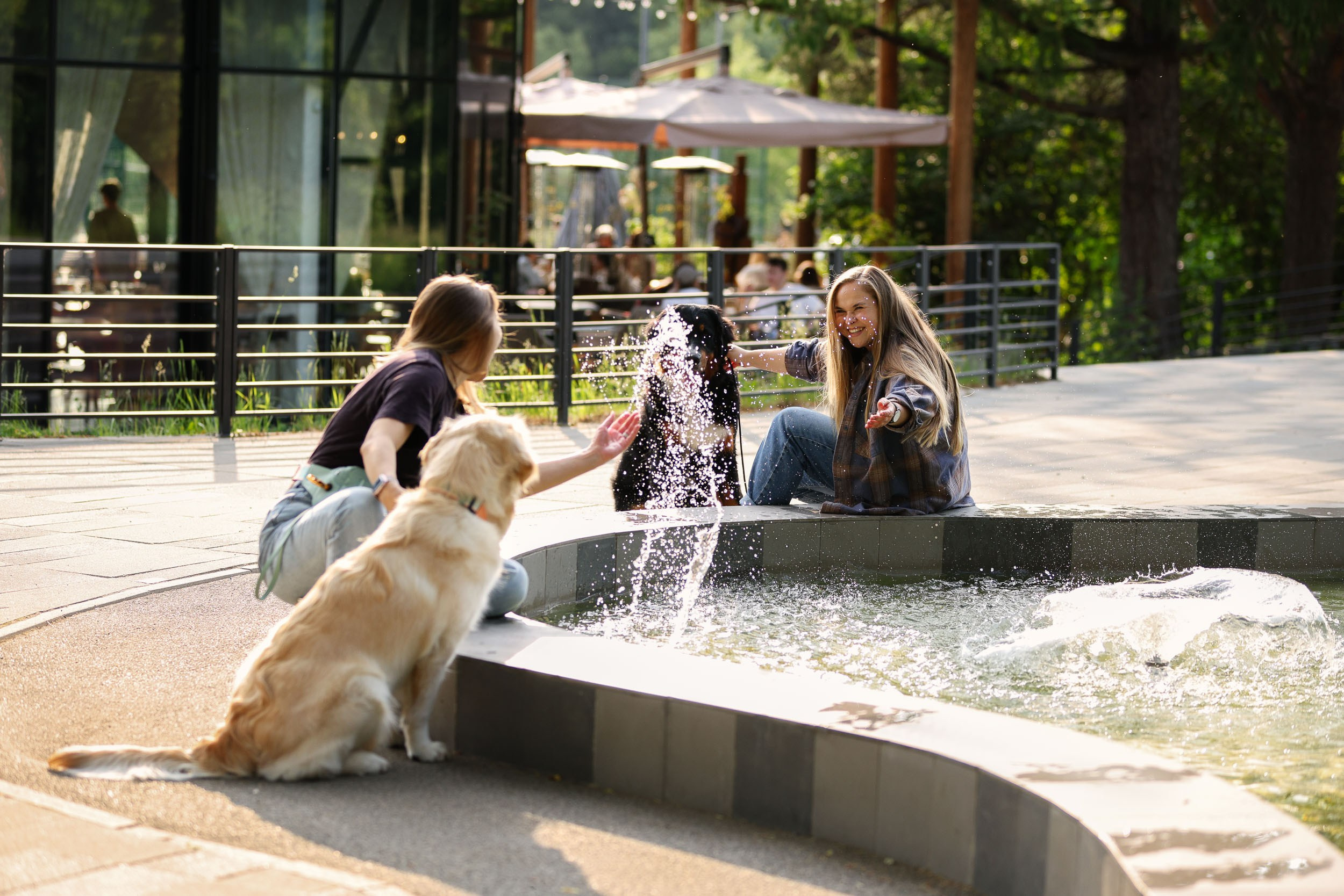 Фотопрогулка для четырех человек с собаками. Фотограф-анималист в Москве и Московской области Татьяна Фролова