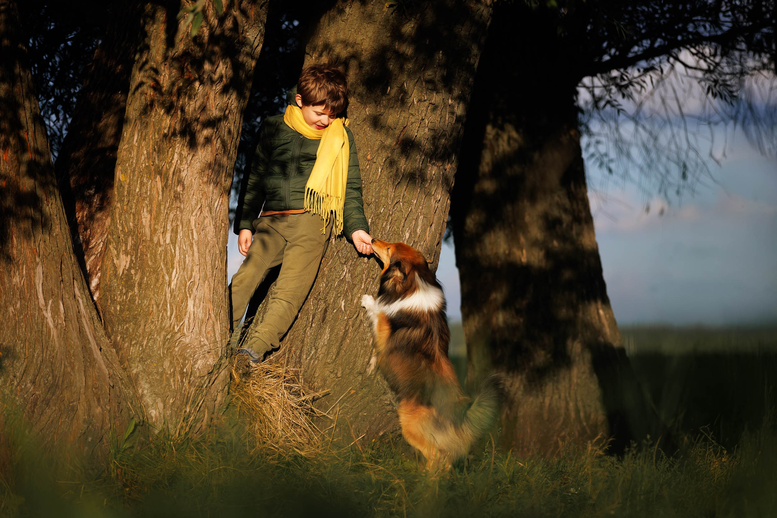 Фотосессия Маленький Принц. Фотограф-анималист в Москве и Московской области Татьяна Фролова