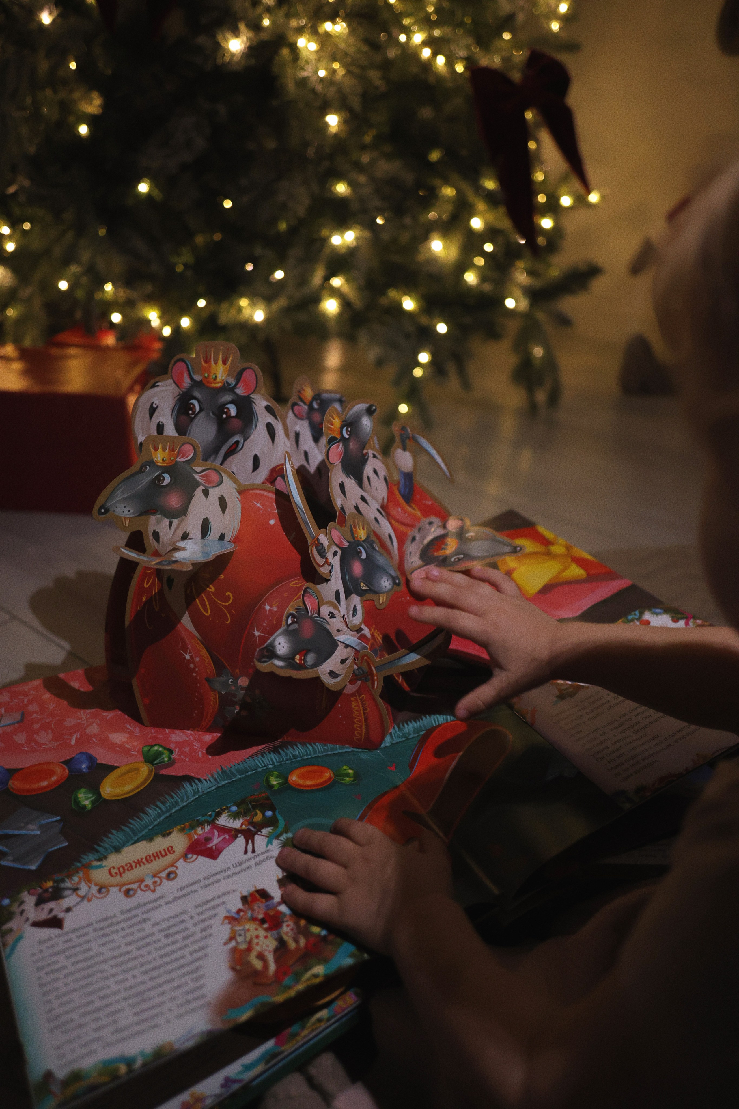 Летт Лофт. Фотограф г. Хабаровск. Семейные и индивидуальные съёмки