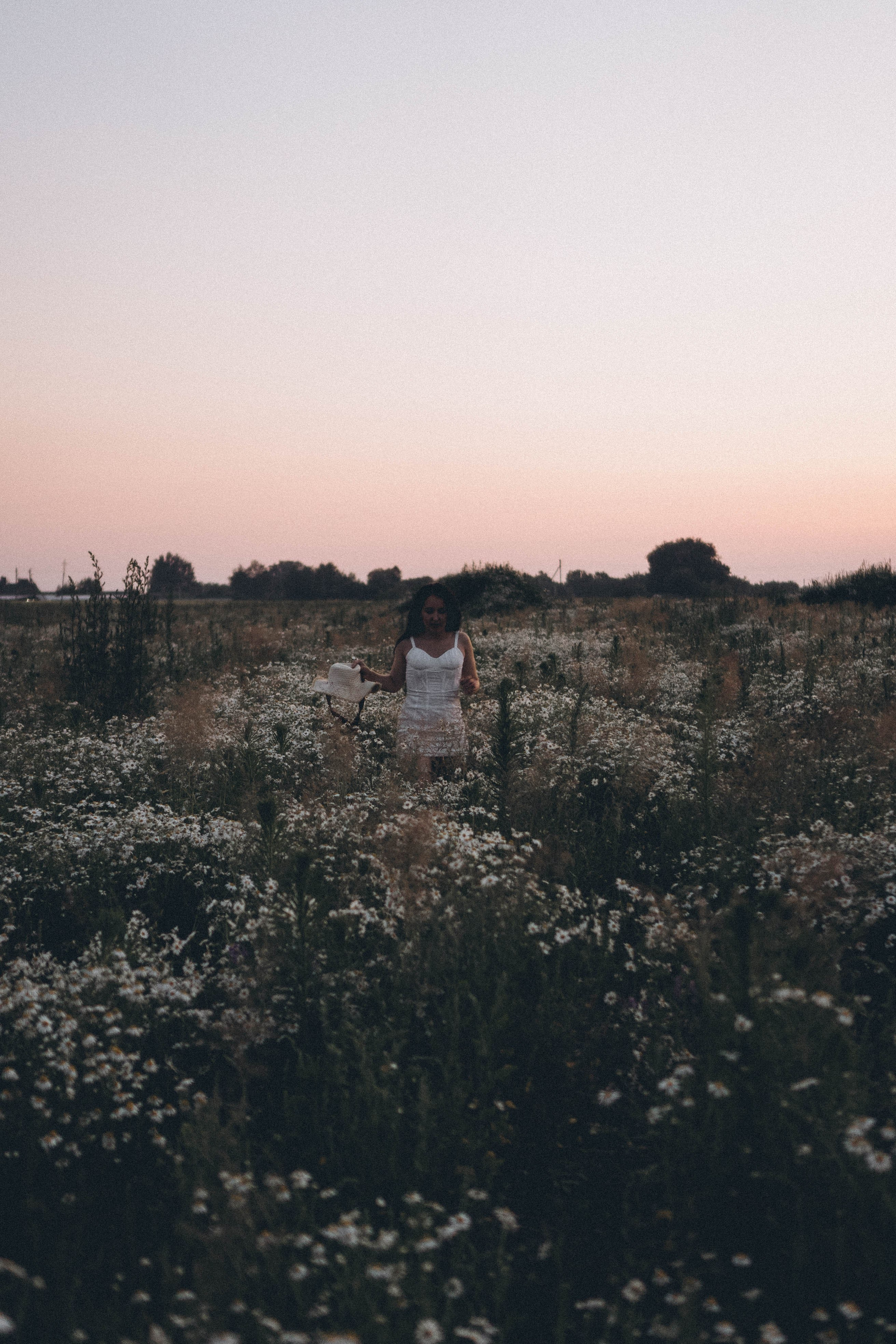 Ромашковое поле. Профессиональный фотограф, Санкт-Петербург — Виктория Богомолова