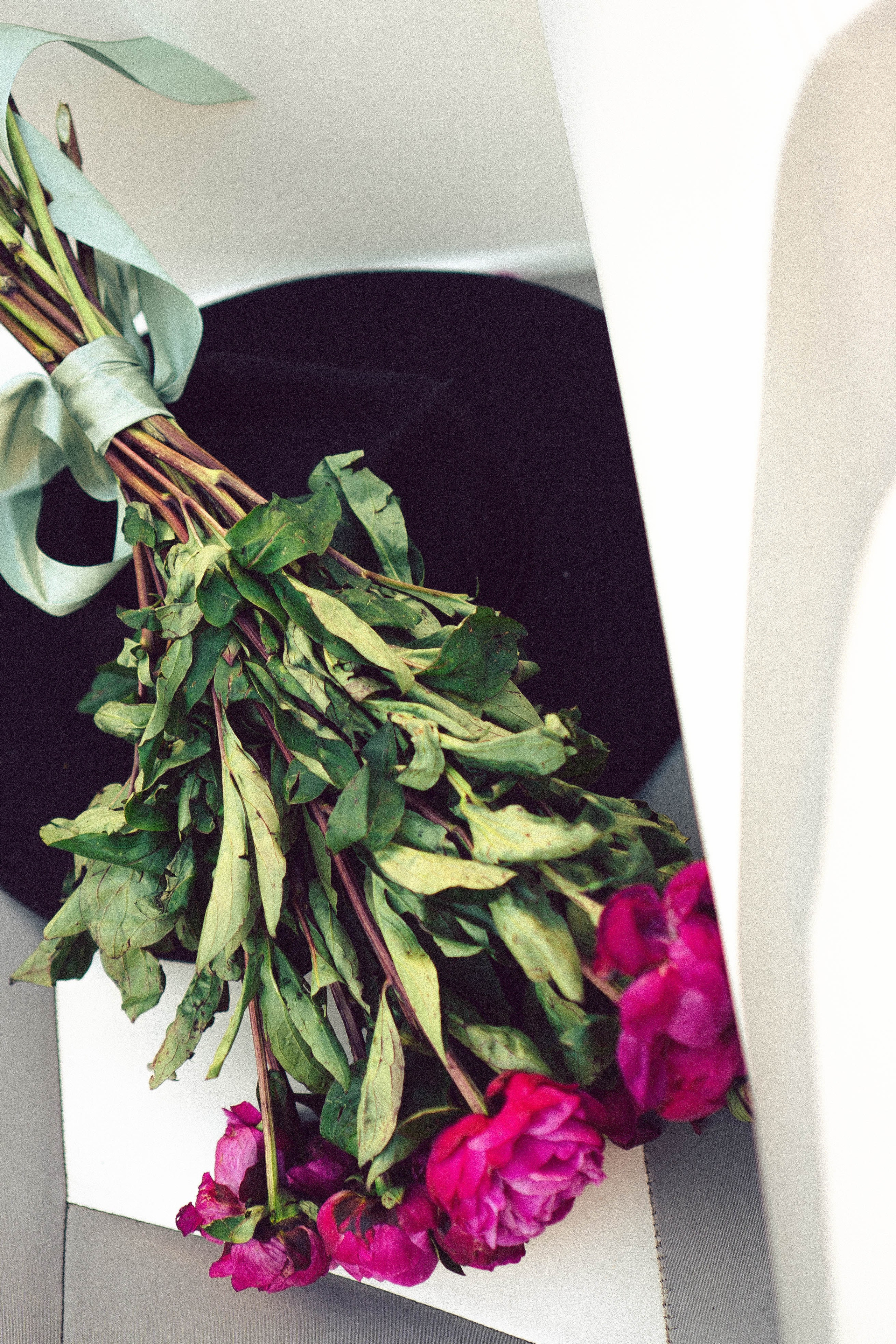 Летняя морская прогулка. Профессиональный фотограф, Санкт-Петербург — Виктория Богомолова