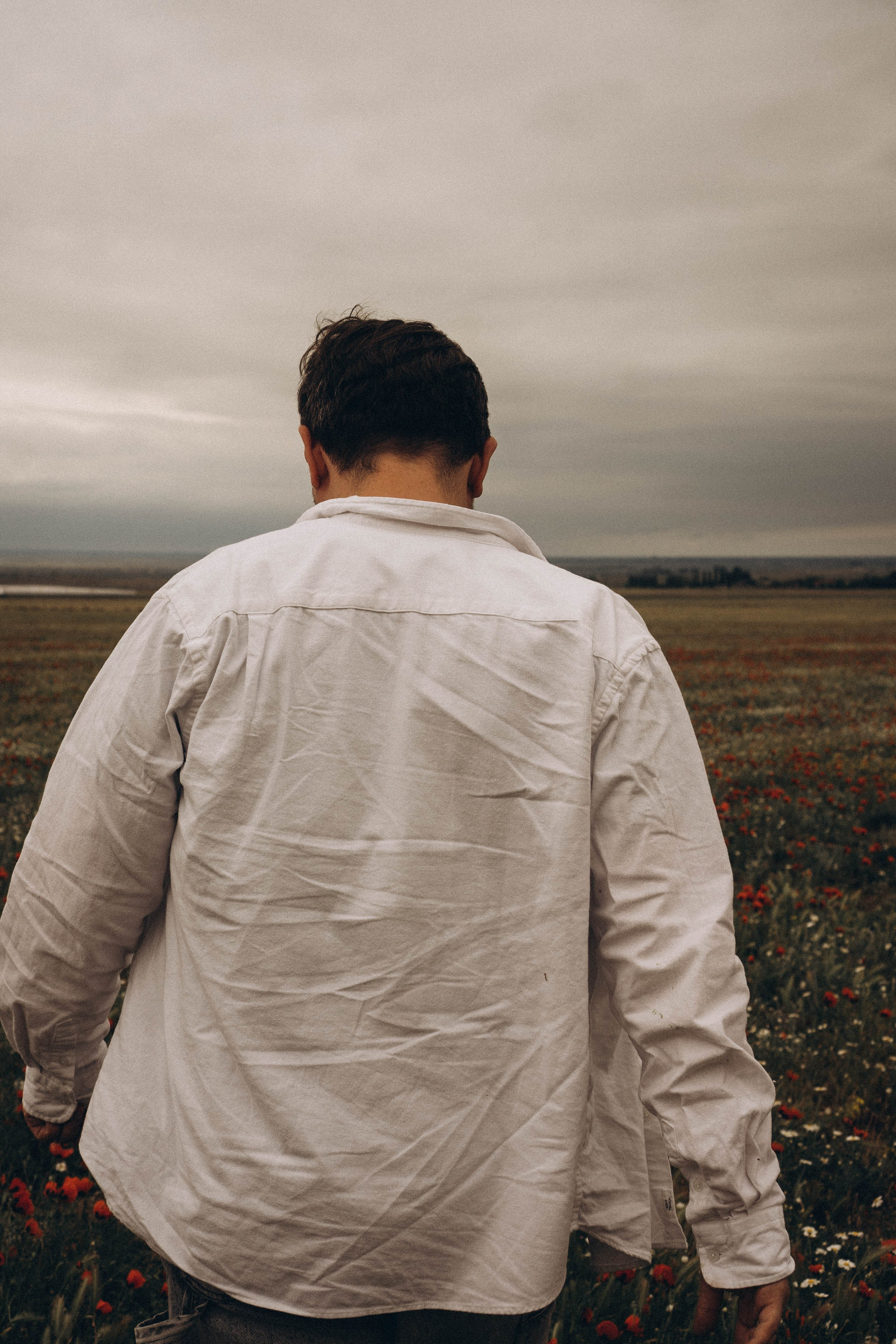 Маки. Профессиональный фотограф, Санкт-Петербург — Виктория Богомолова