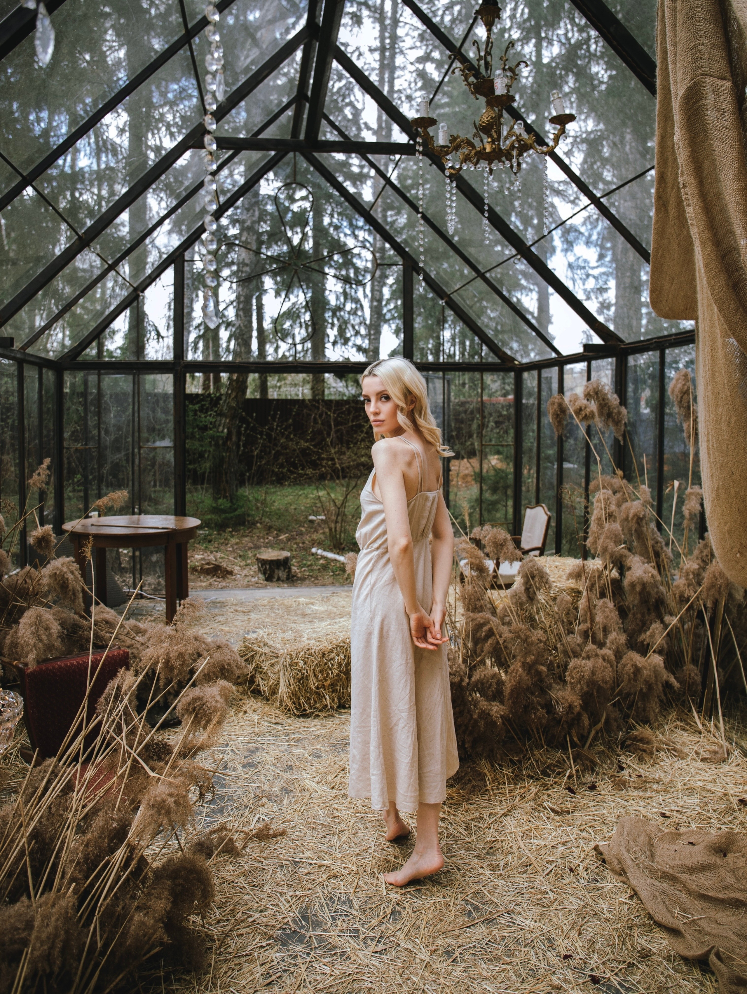 История со скрипкой. Свадебный и семейный фотограф в Москве Мила Широких