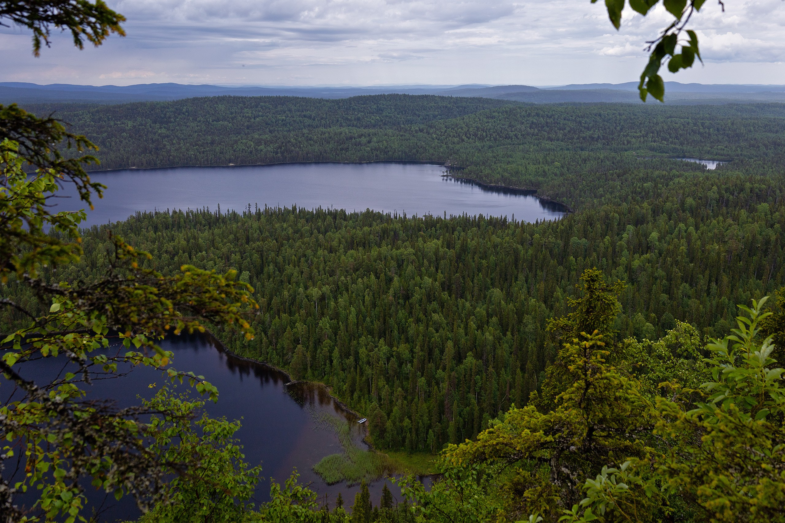 Пейзажи. Сайт фотографа Елены Михайловой. Фотосессии на пленэре в Сестрорецке