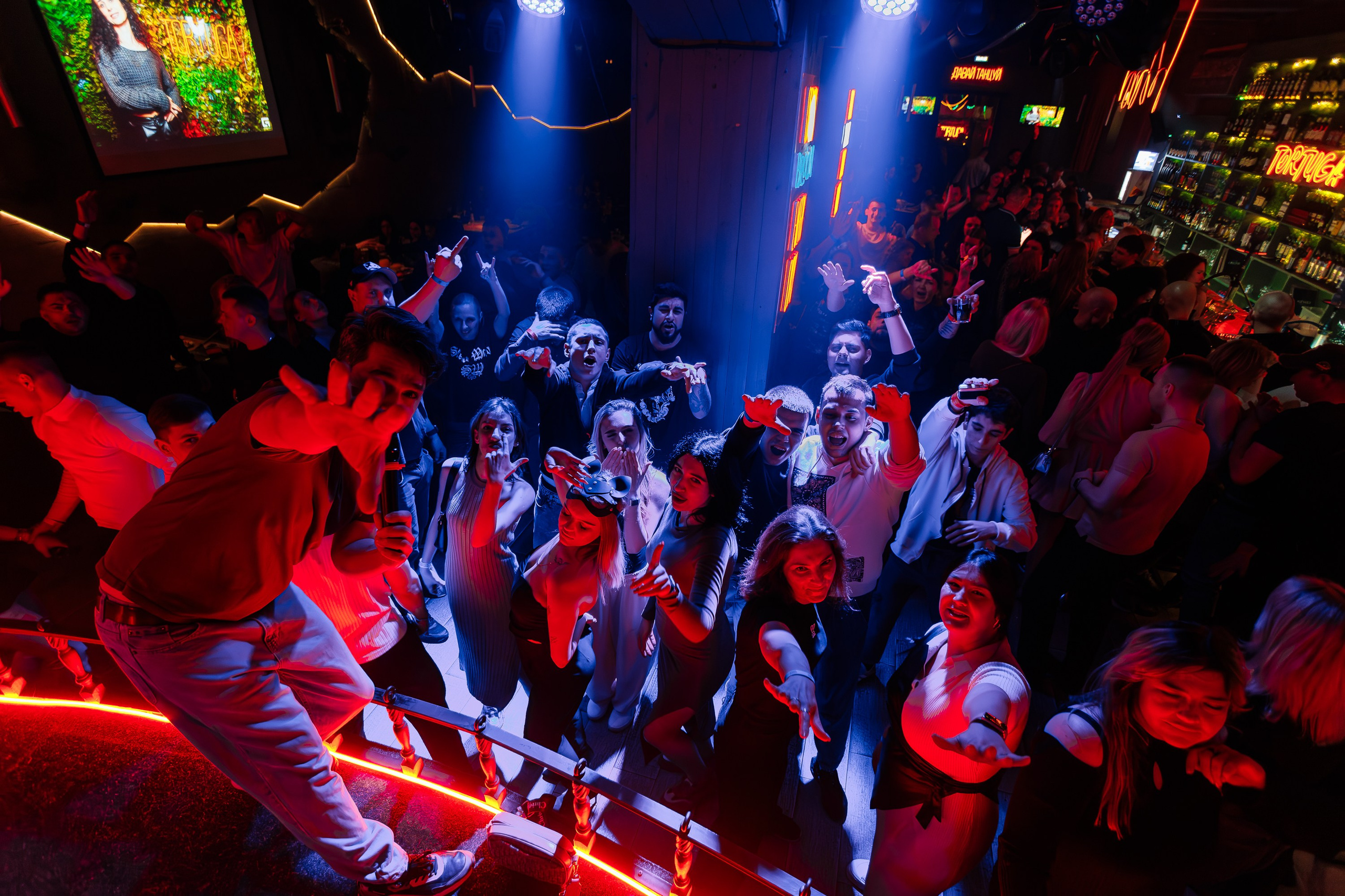 «Мартовские коты"_Tortuga_Симферополь_29.03.2025. Аминов Руслан | Фотограф