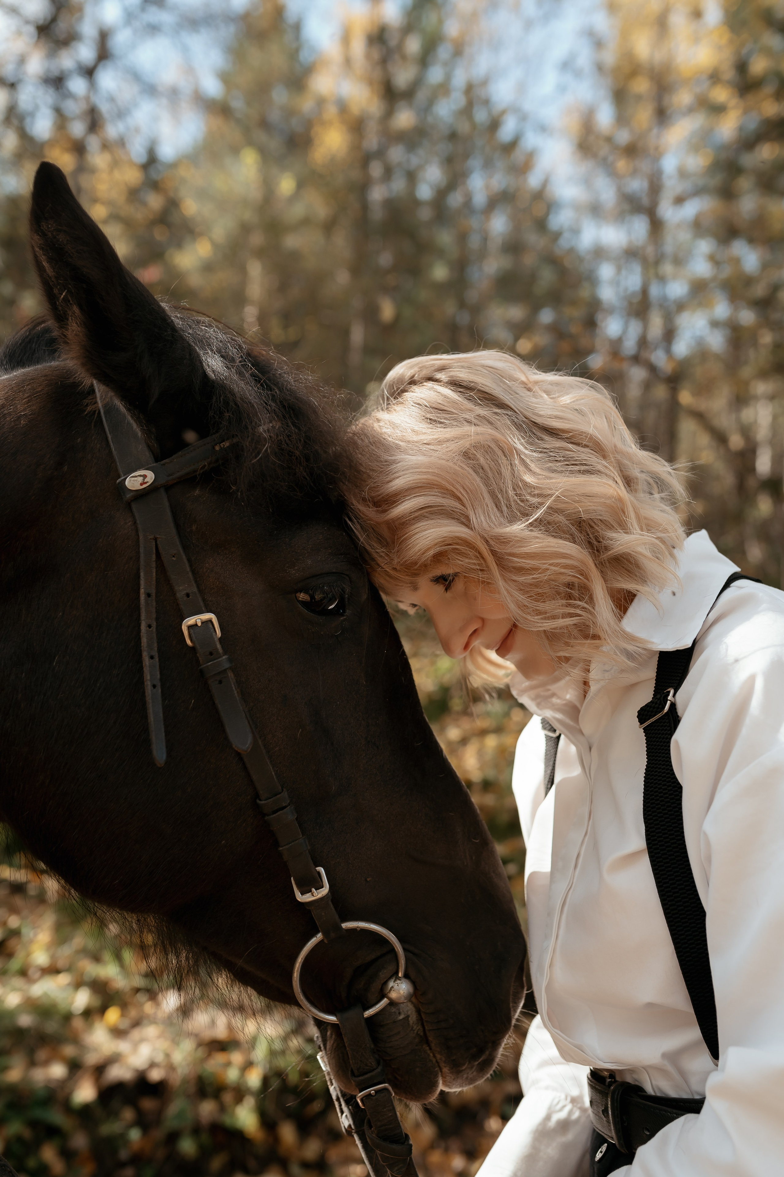 На конном дворе. Фотограф Ким Наталья в Красноярске