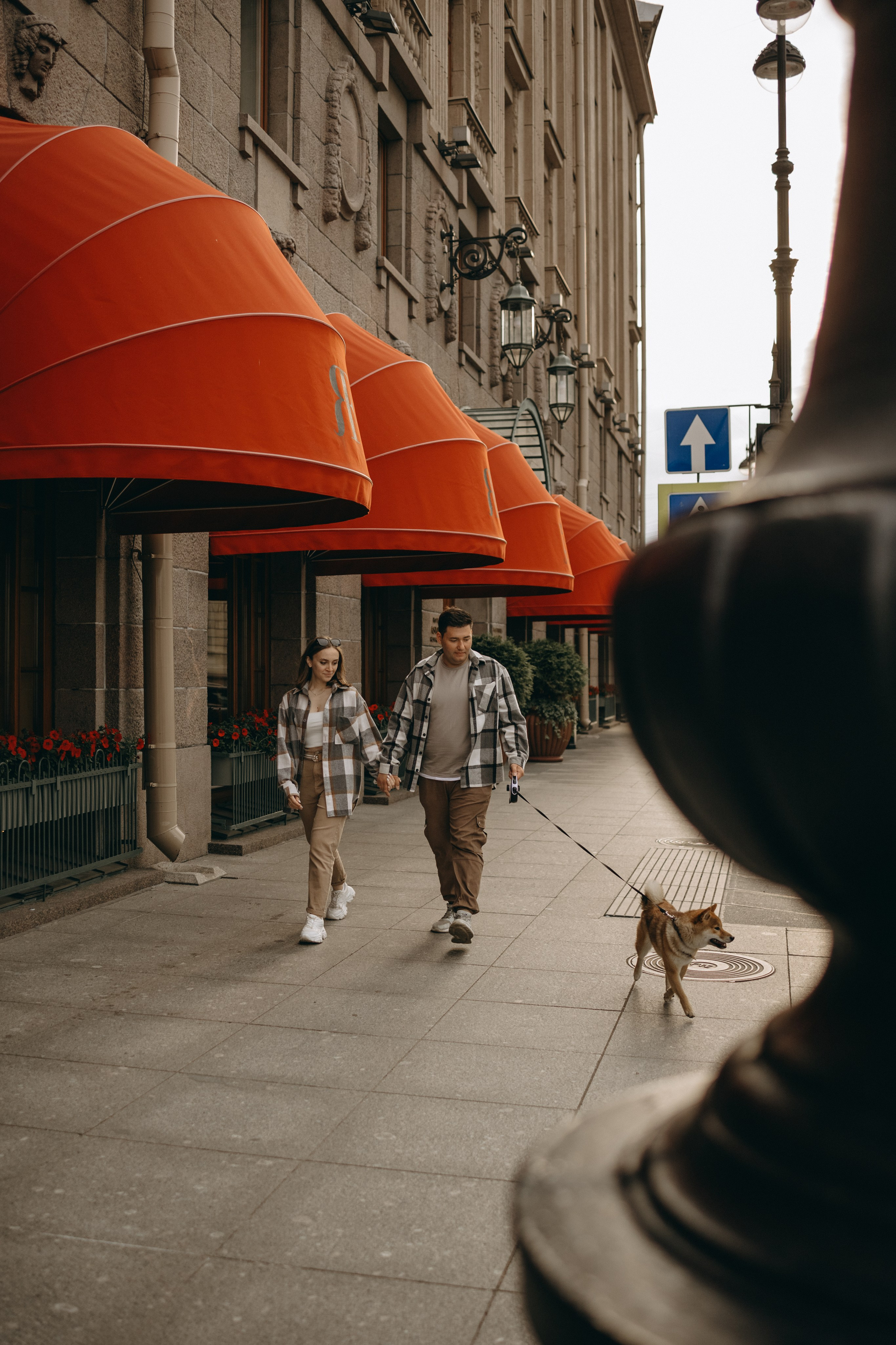 Сириус и его семья. Фотограф — Анималист | Санкт-Петербург