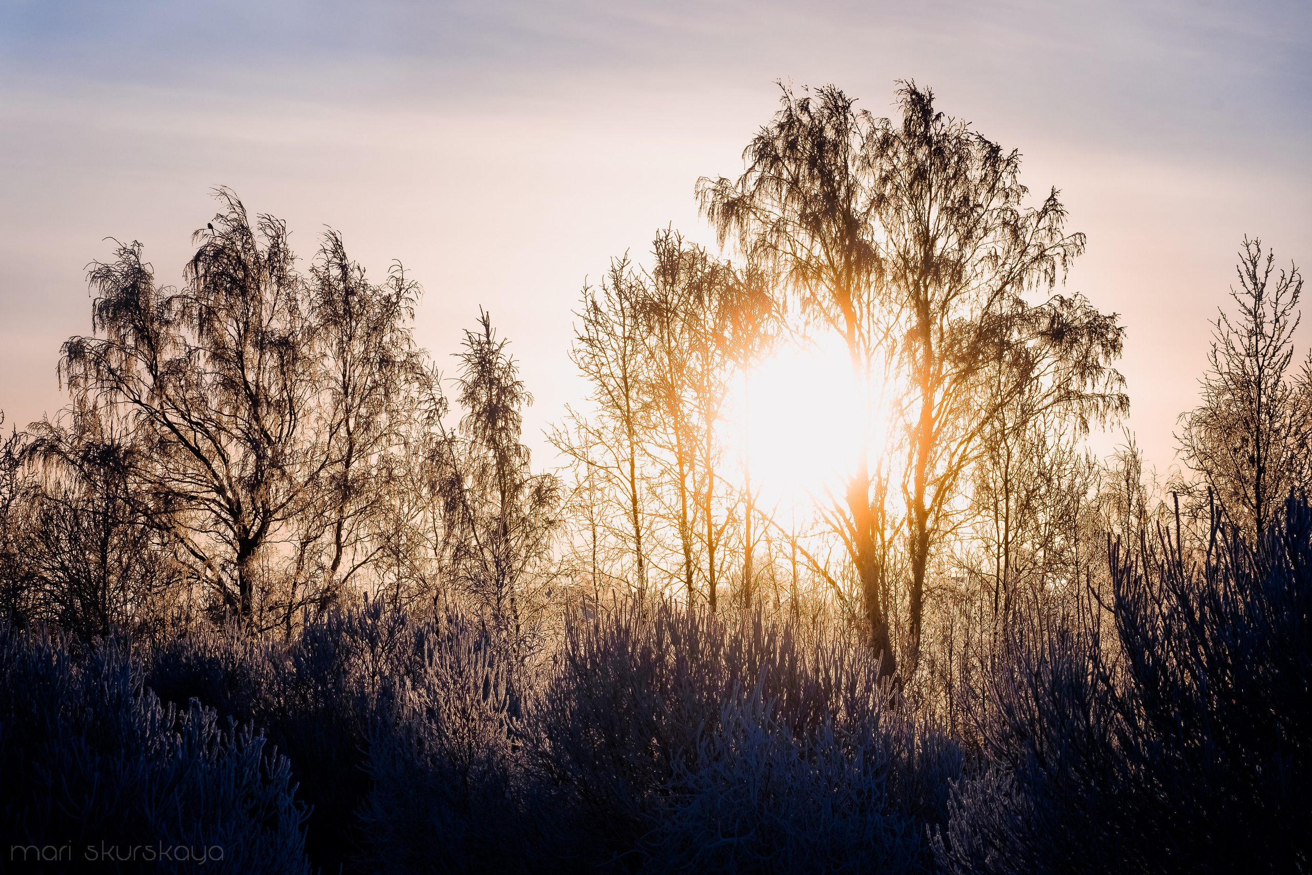 Контраварийная практика вождения автомобиля. Мотофотограф в Санкт-Петербурге Мария Скурская