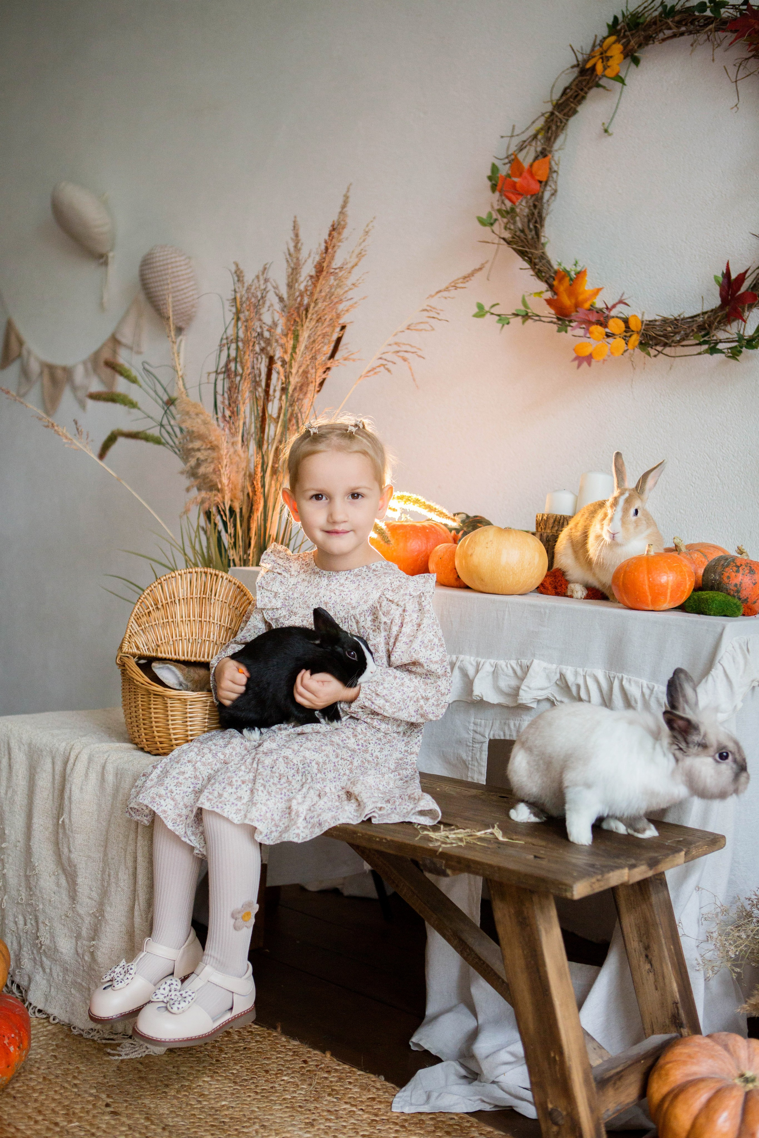 «Осень. Тыквы. Кролики». Фотостудия «Menstone». Свадебный семейный и детский фотограф в Краснодаре Карина Федоровская