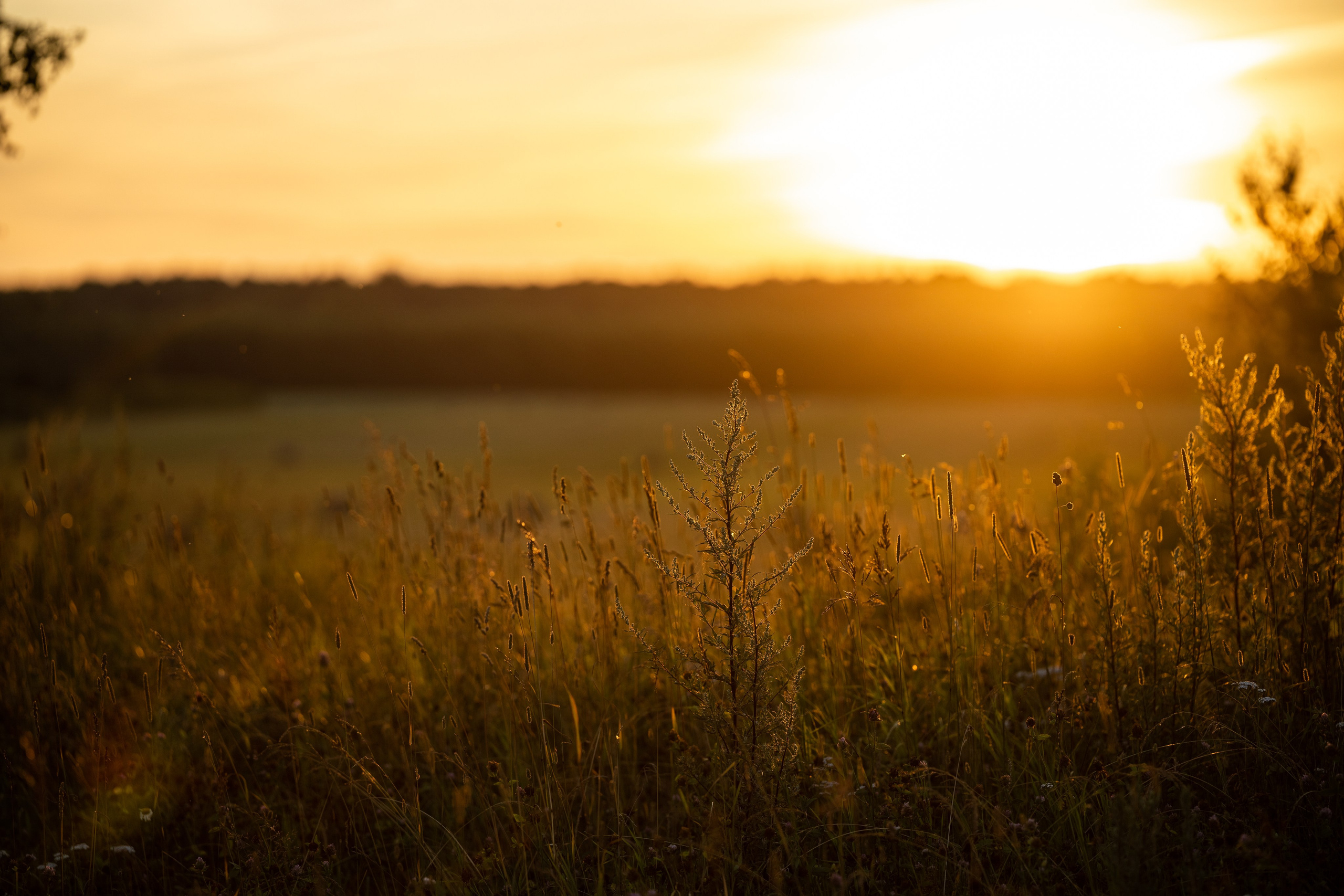 Природные пейзажи. Наталия Клевинскас портретный фотограф в Костроме