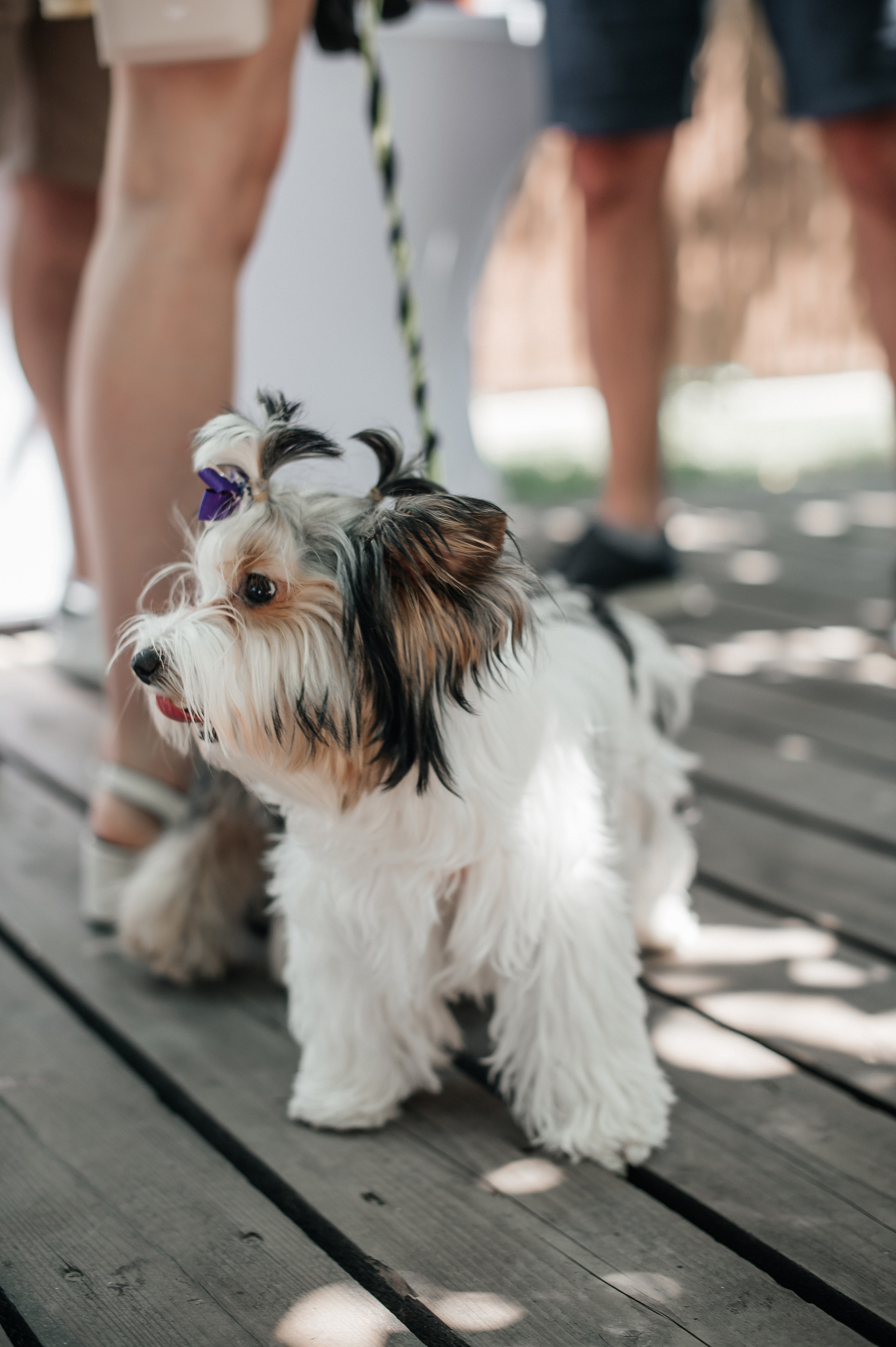 ALOHA!. Свадебный и семейный фотограф в Краснодаре Листкова Галина