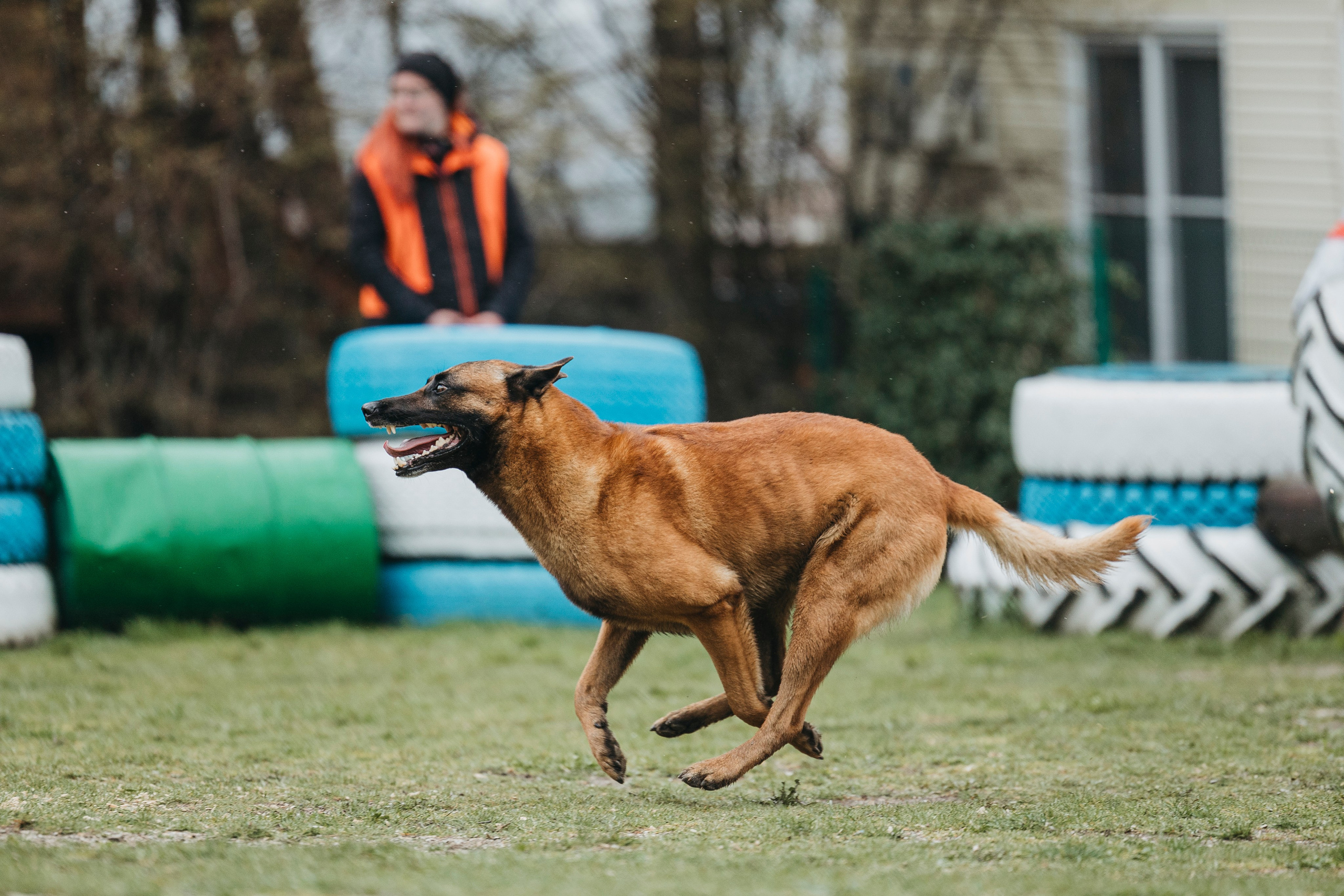 Геленджик Мондьоринг. Фотограф-анималист Анна Маринич