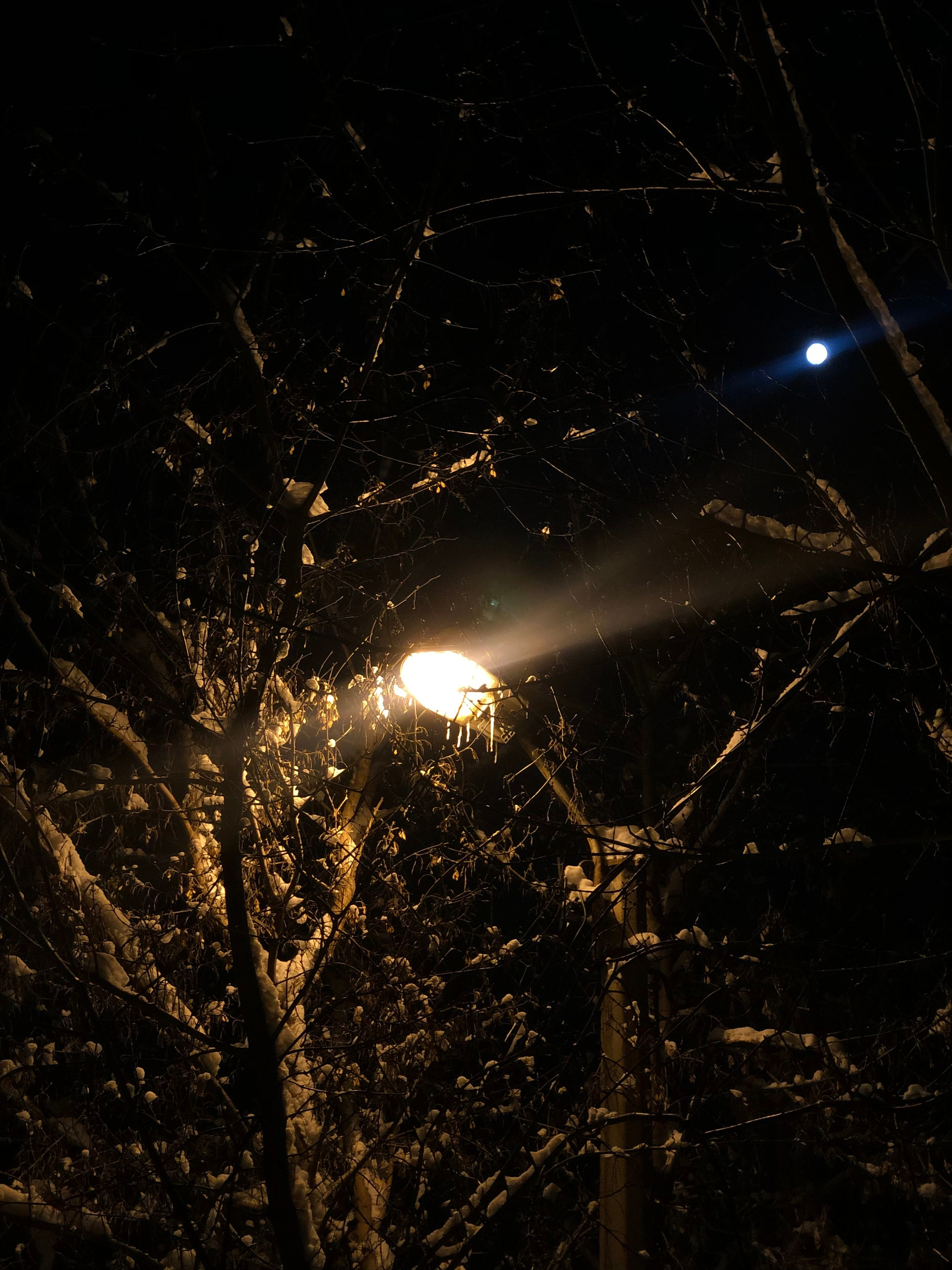 Ноябрь. Семейный, Свадебный фотограф СПБ Питер— Романова Екатерина