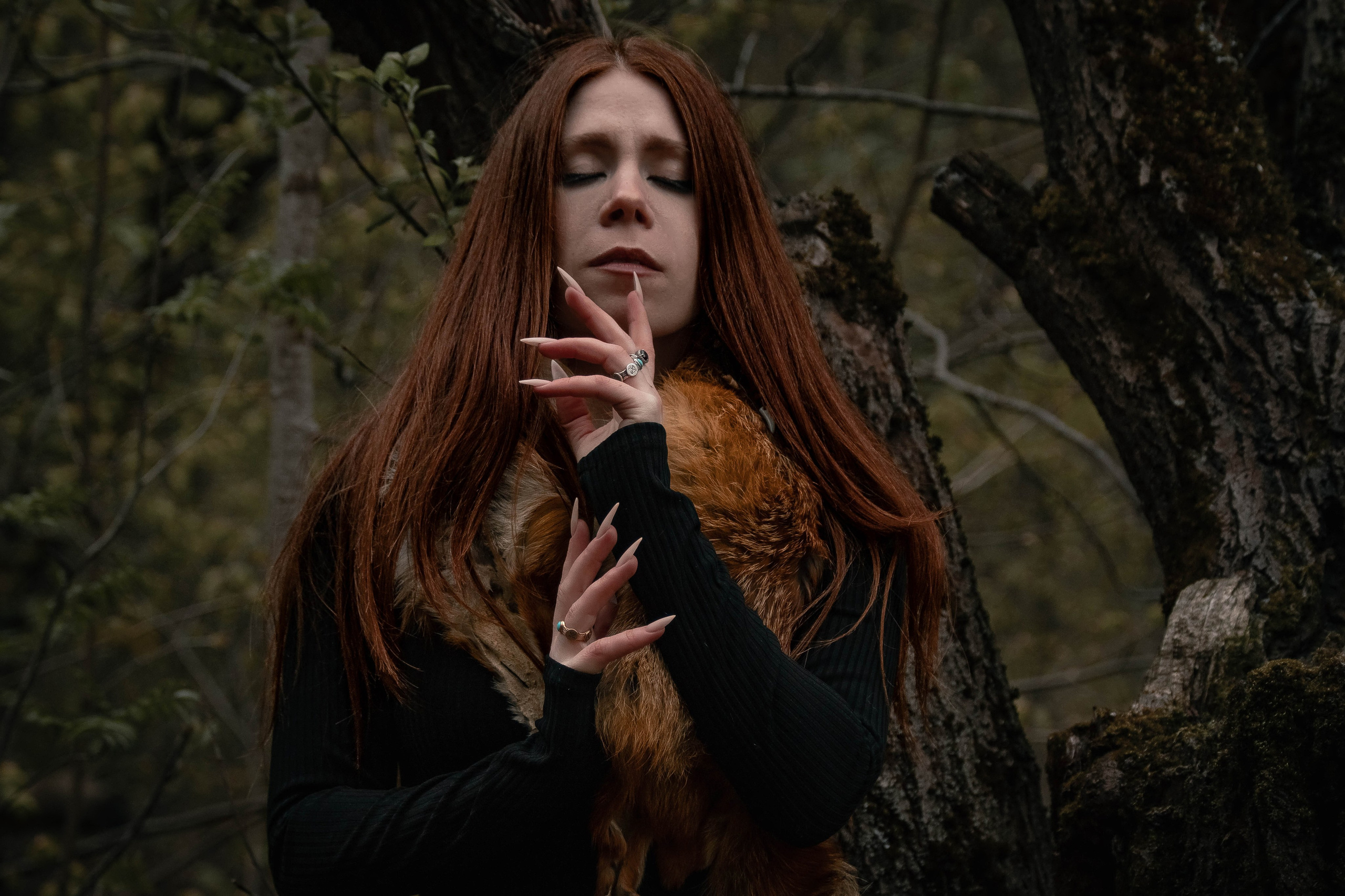 Художественные фотосессии Тула. Фотограф анималист — Тула, Москва