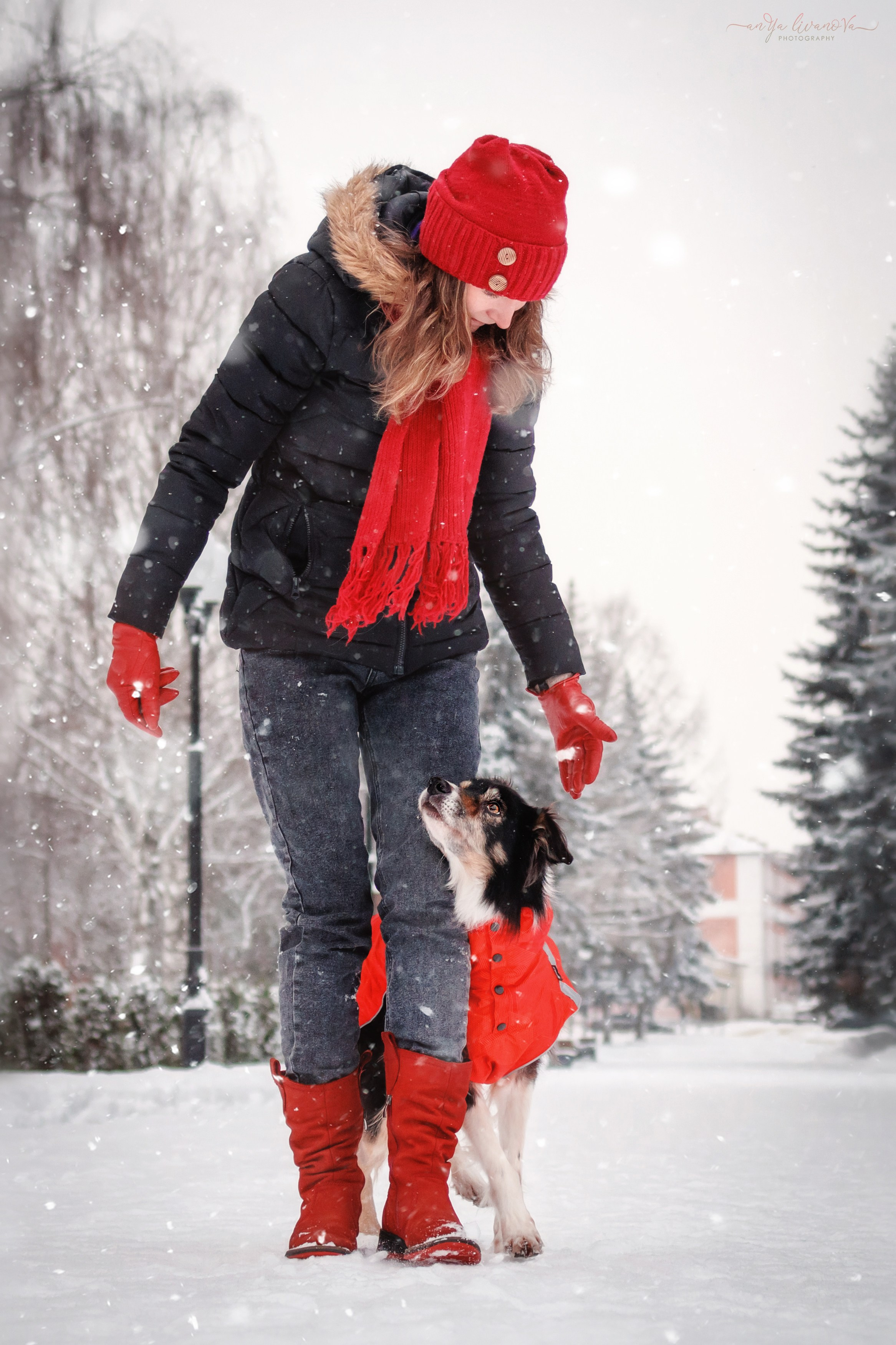 Рокки. Фотограф анималист Аня Ливанова | Рыбинск
