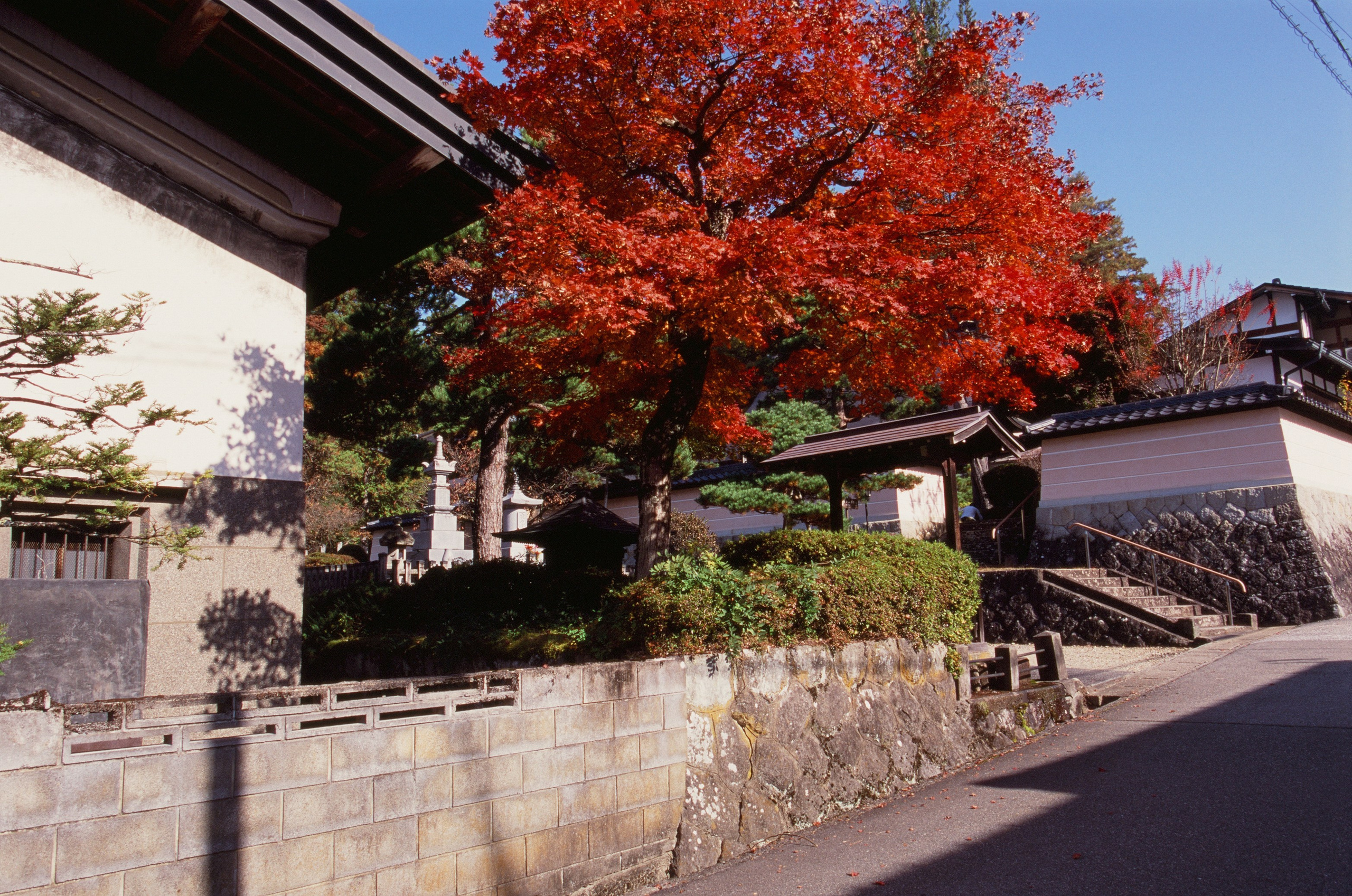 Out of noise // japan, takayama V. EVER EXPOSED