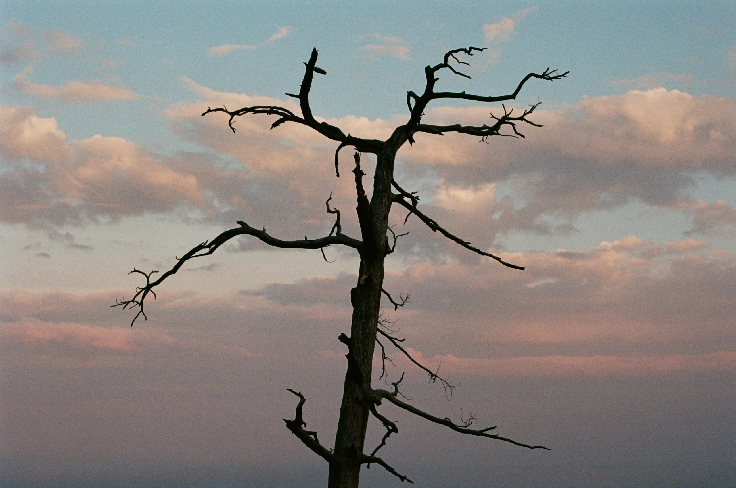 This time // ukraine, crimea. EVER EXPOSED