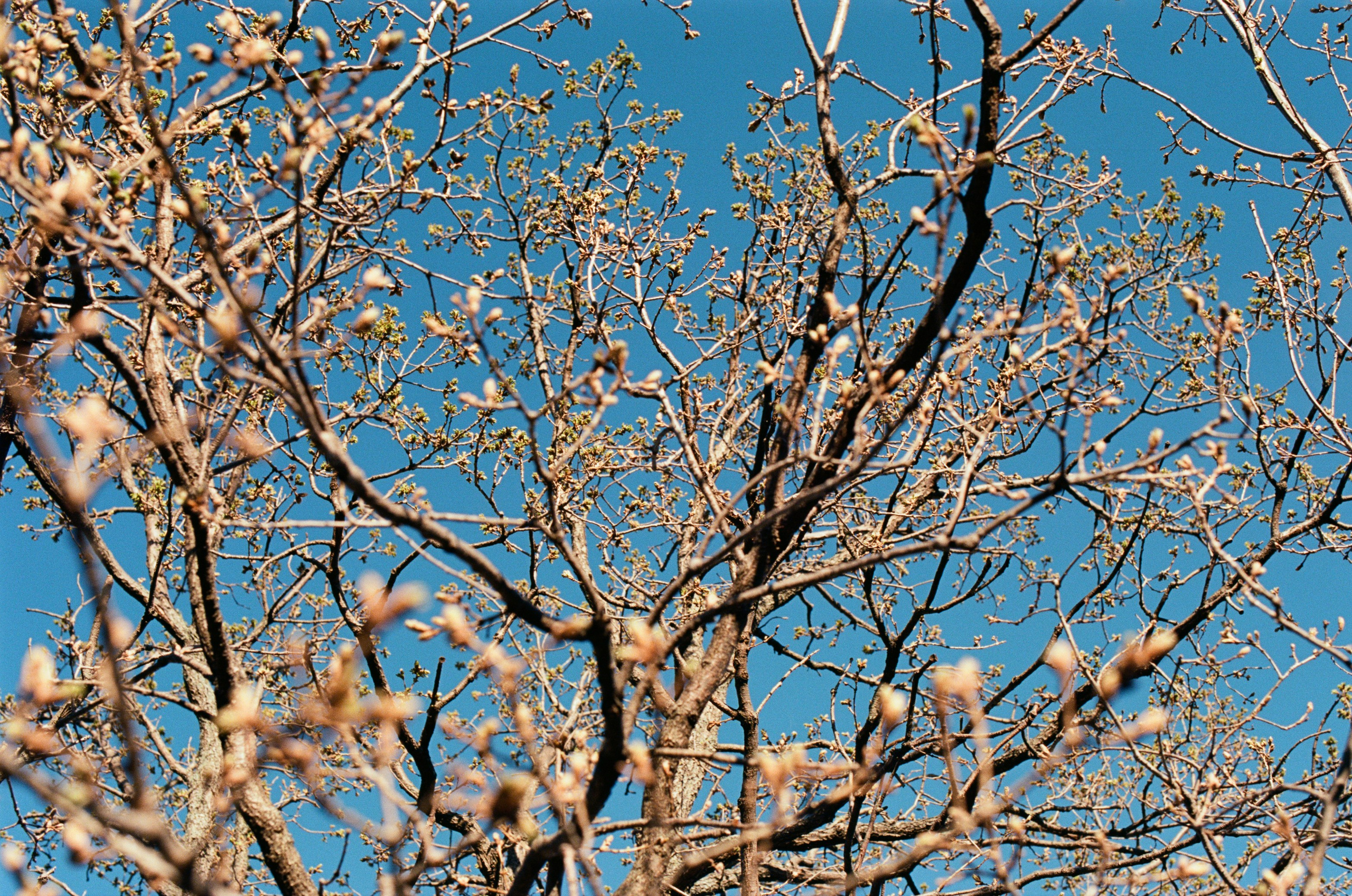 Follow you // ukraine, crimea II. EVER EXPOSED