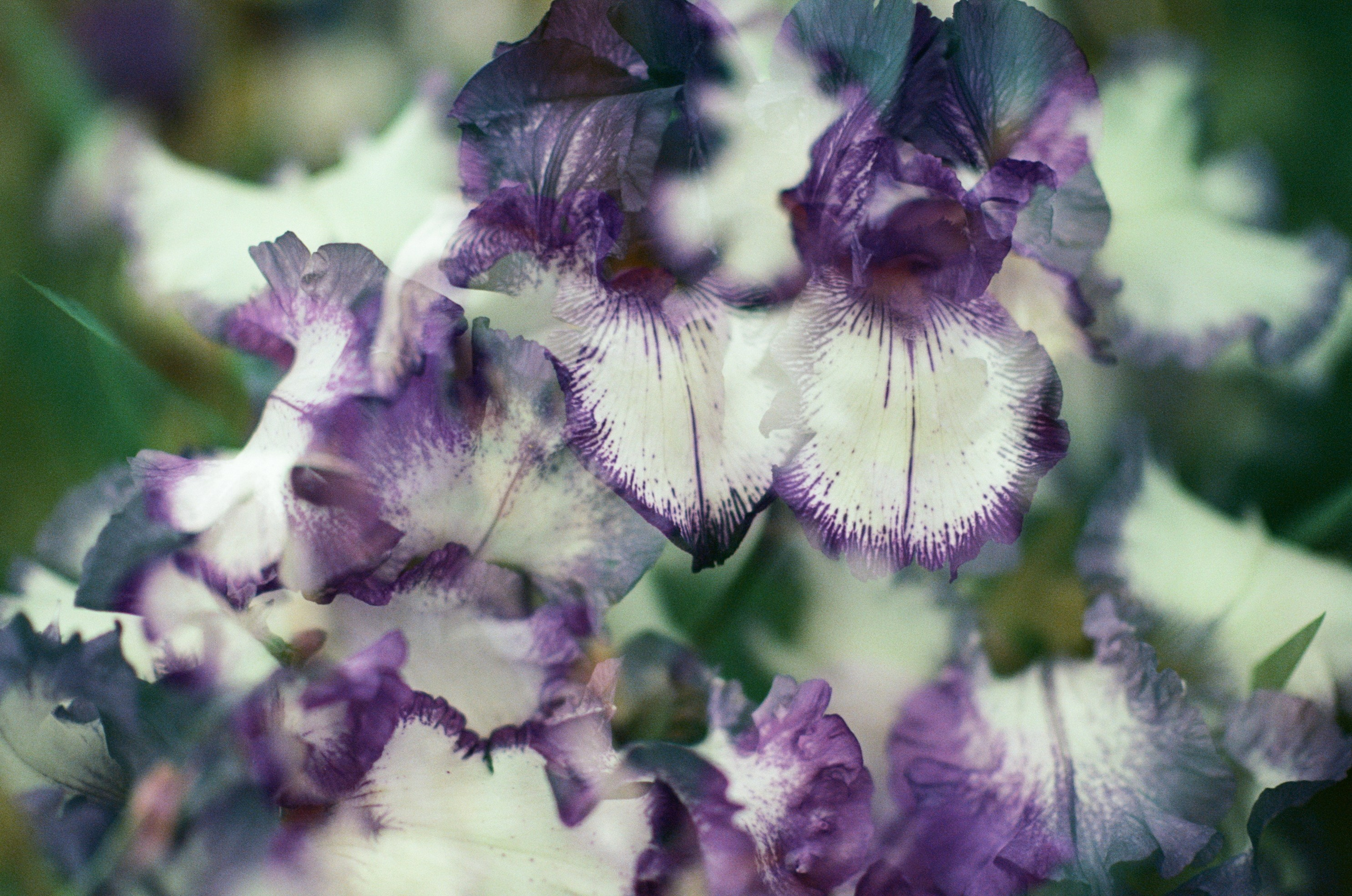 Pain shopping // ukraine, crimea IV. EVER EXPOSED