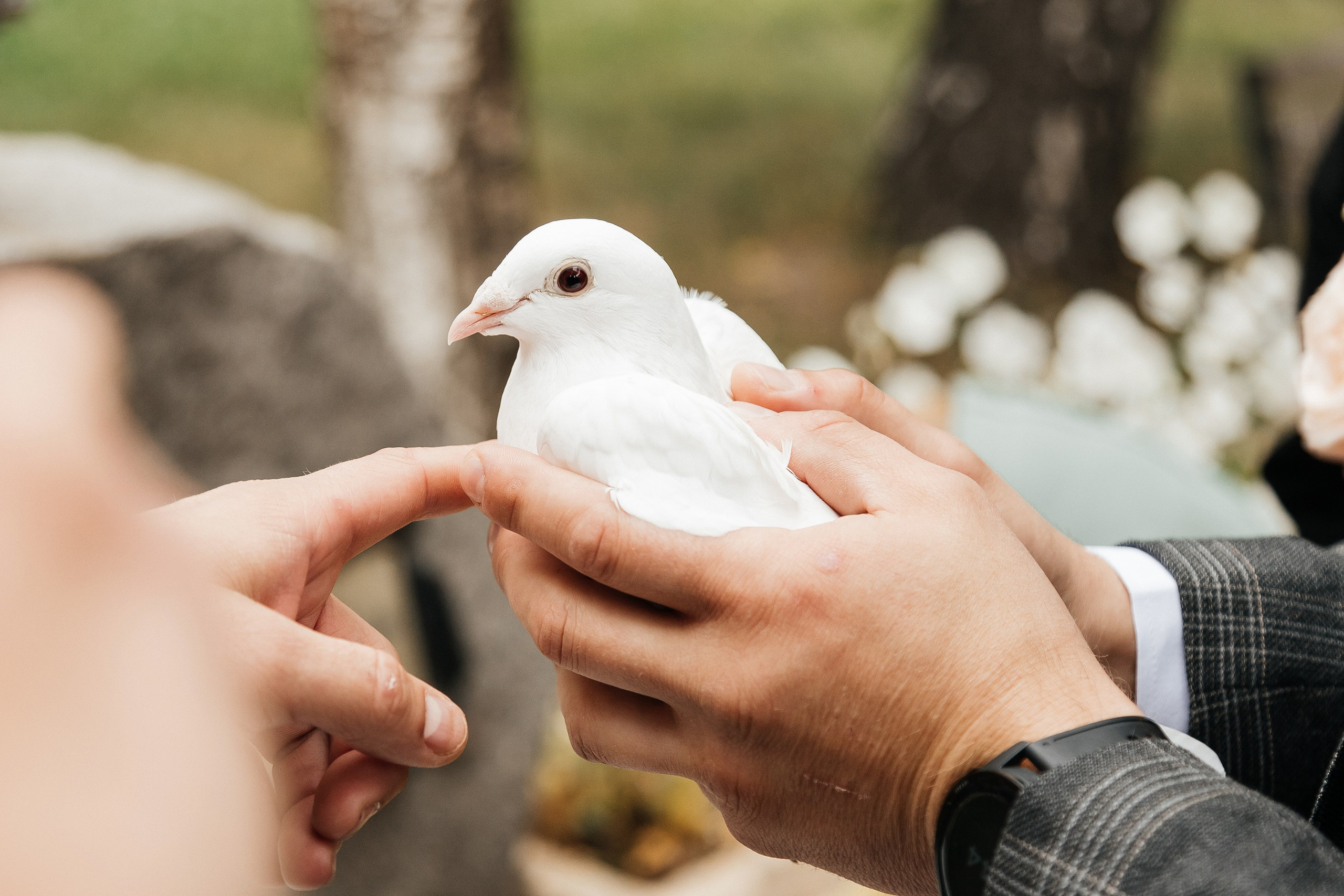 Максим и Нина/2024. Свадебный и семейный фотограф в Екатеринбурге