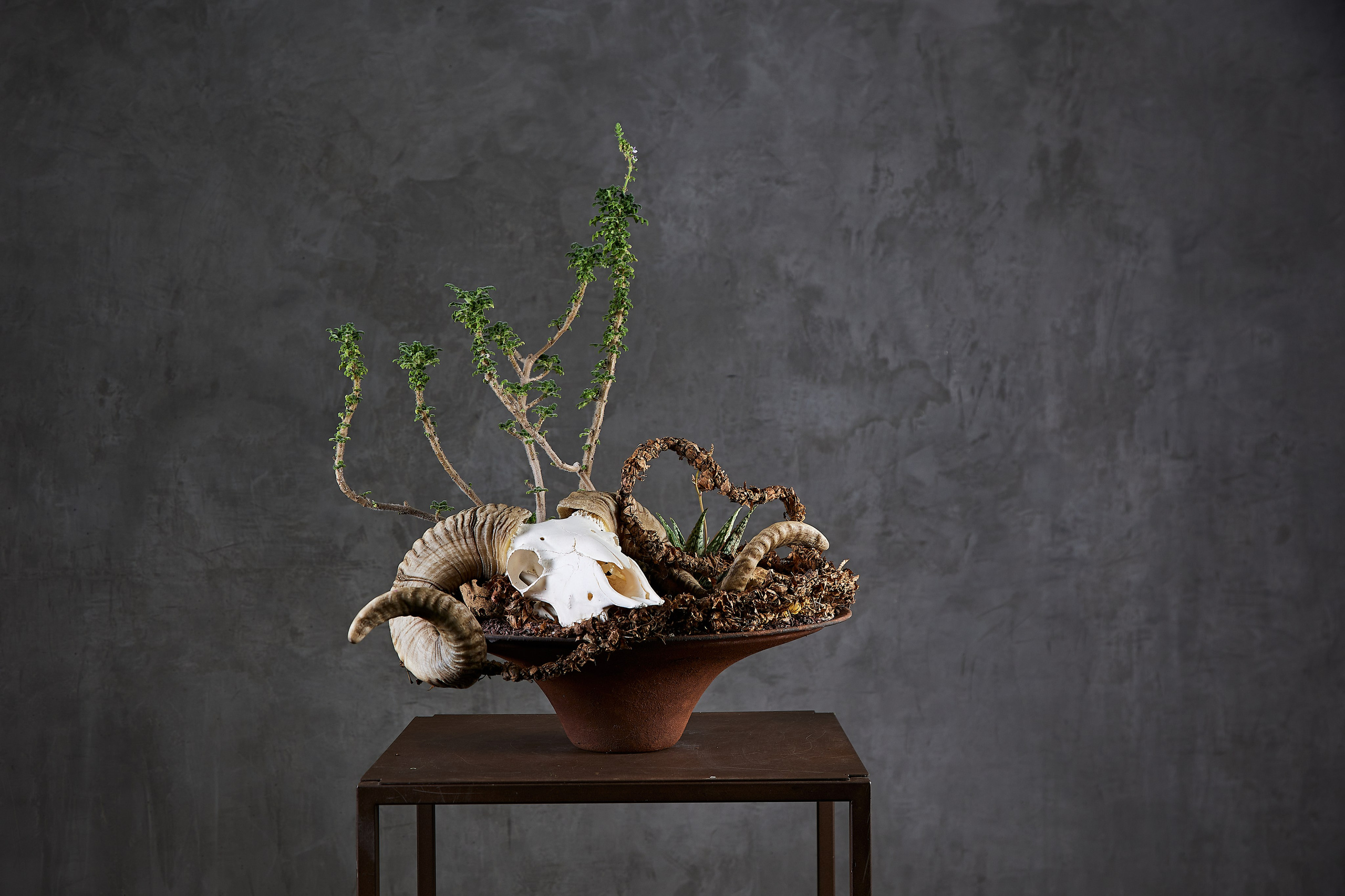 Mikhail Glazkov, phitodesigner. Maria Poleshchuk, commercial photographer in Sydney