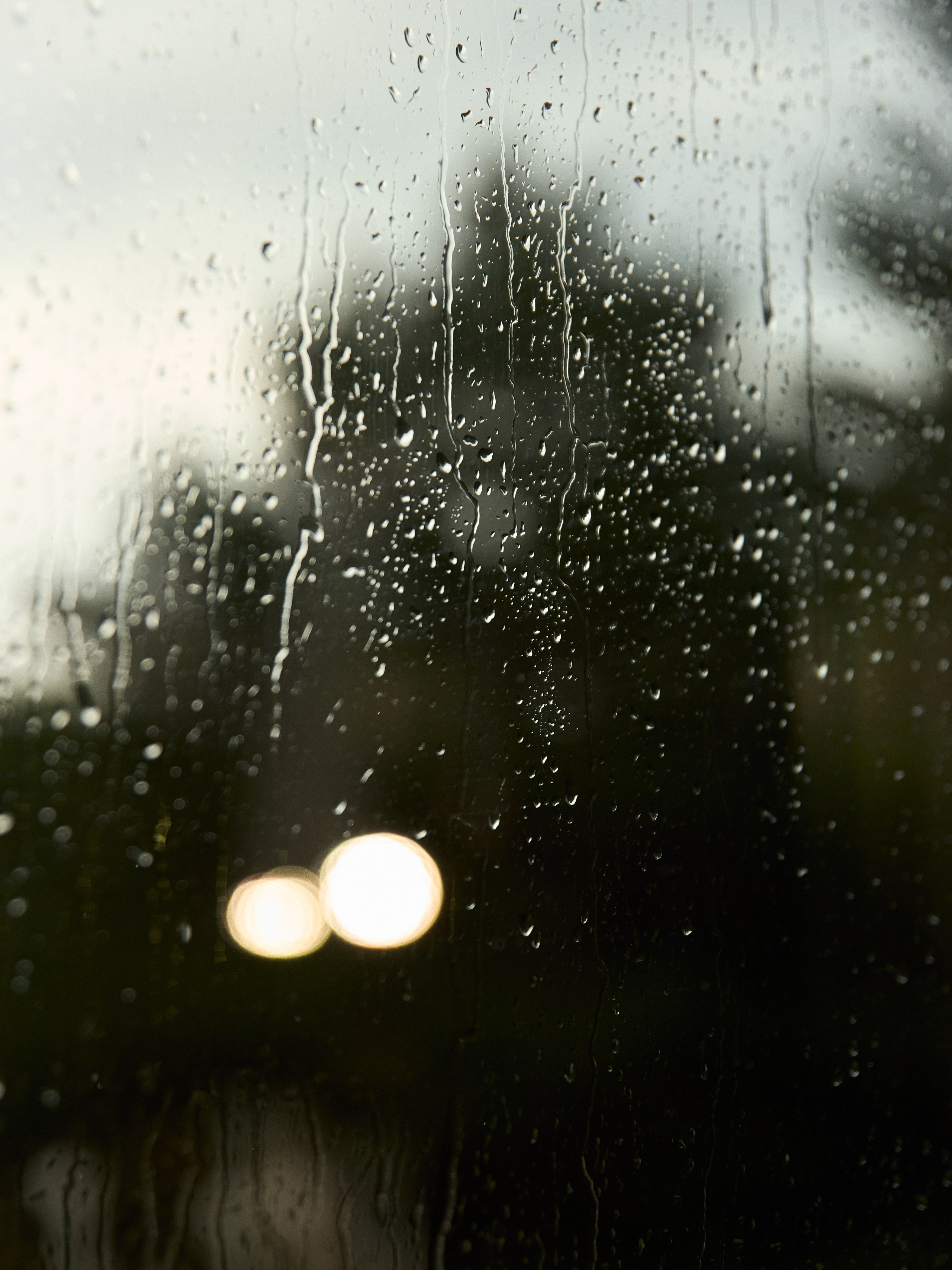 СЕГОДНЯ ТОЛЬКО ПО ЛЮБВИ. Свадебный фотограф Анна Чащухина