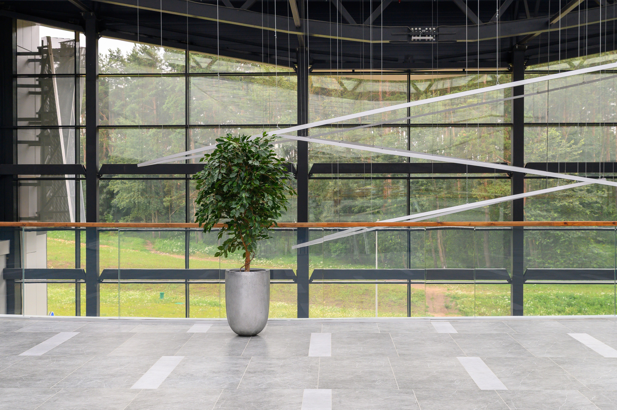 BelExpo. Фотоуслуги, услуги фотографа, фотографирование важных событий