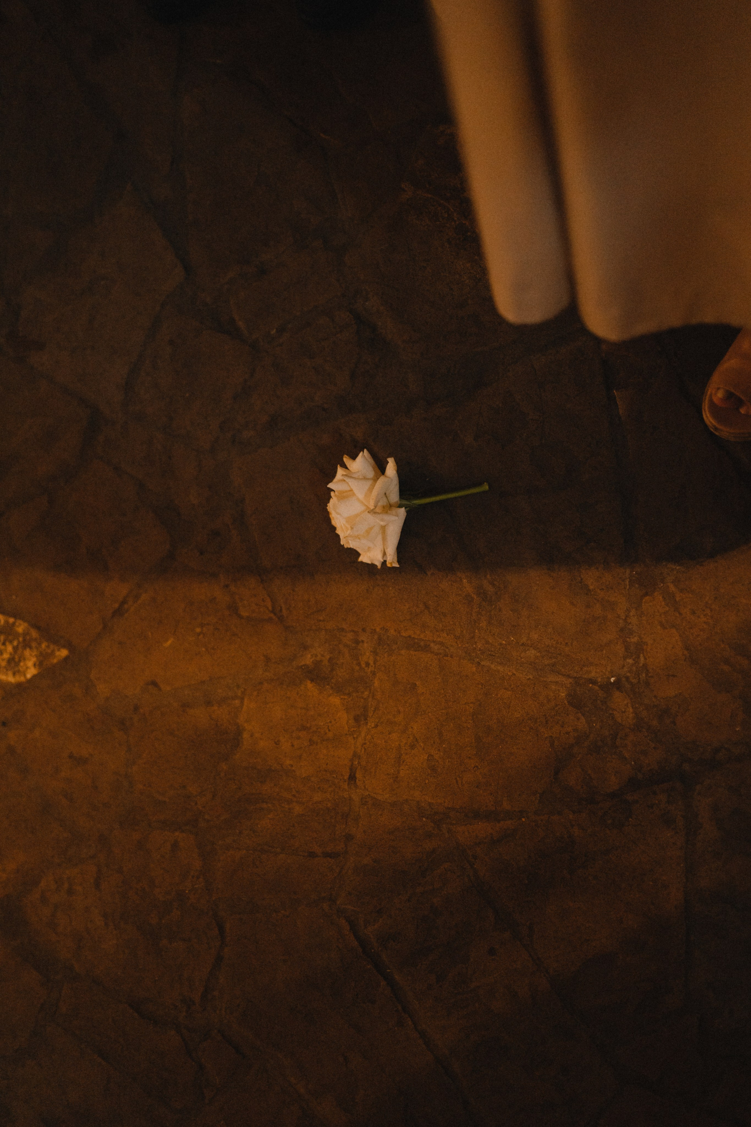 Константин и Алина. Свадебный фотограф в Новосибирска