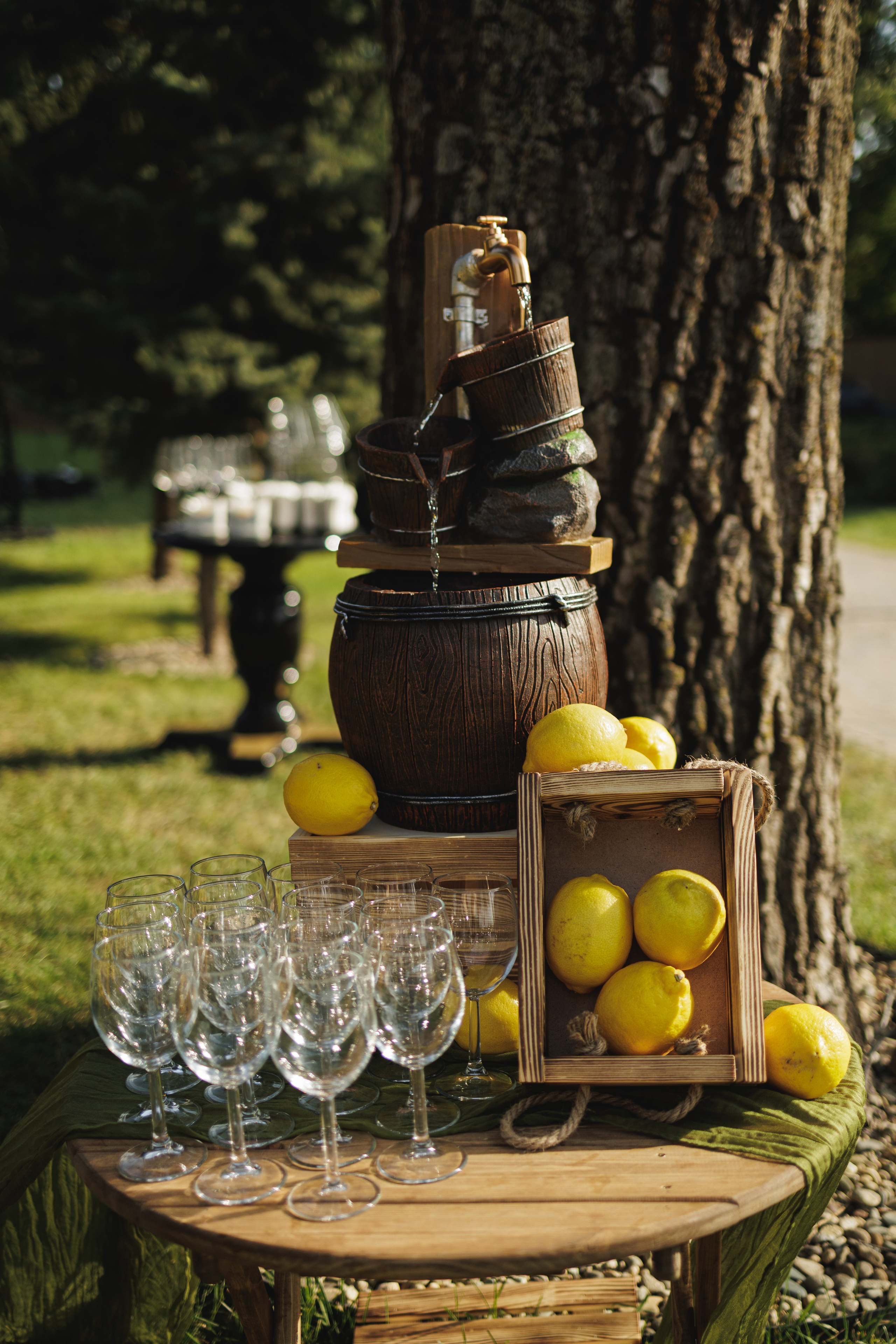 День Рождения. Aleksantis