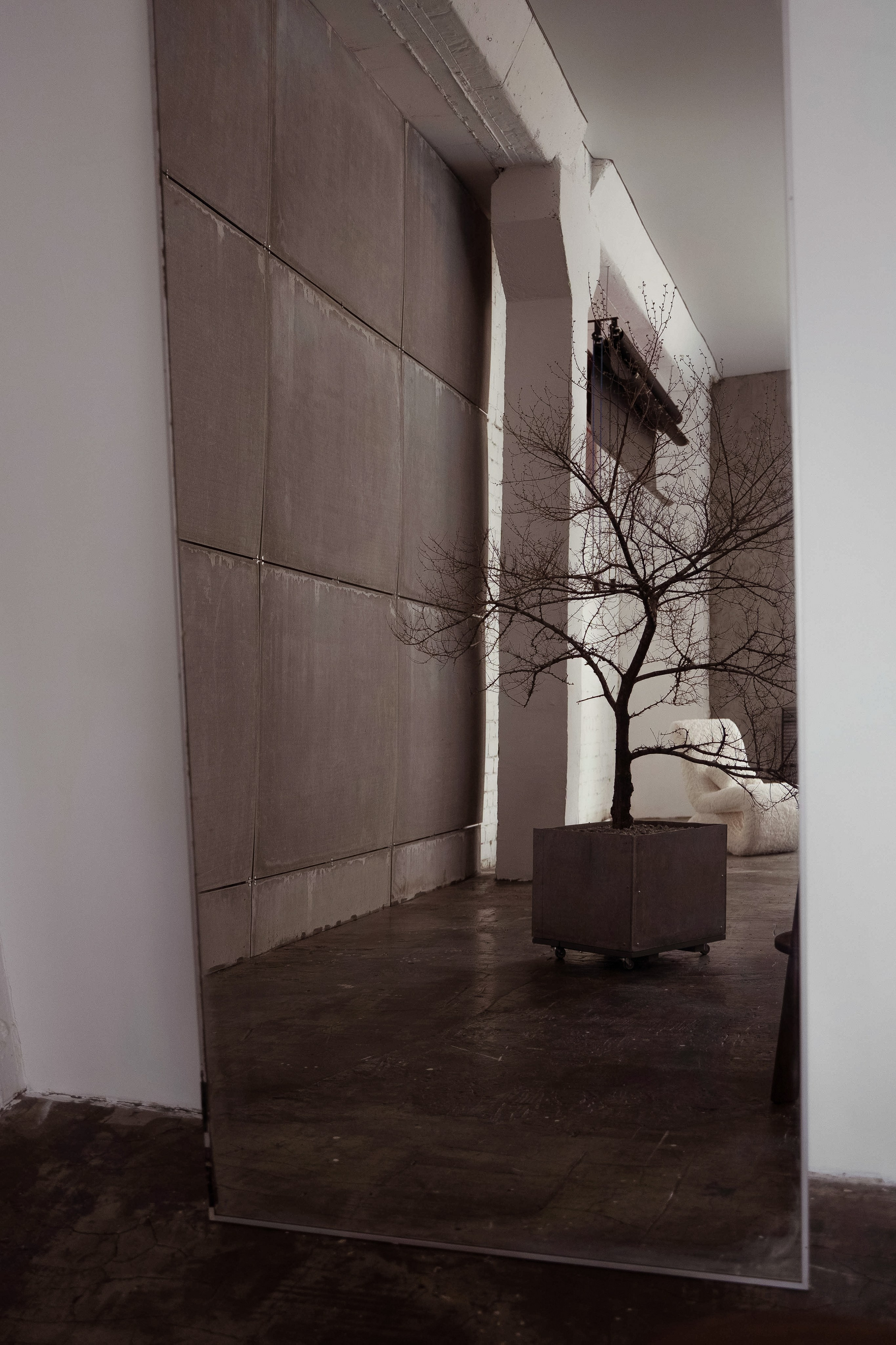 Фотостудии новый год 2025. Профессиональный фотограф Максим Романов в городе Хабаровске