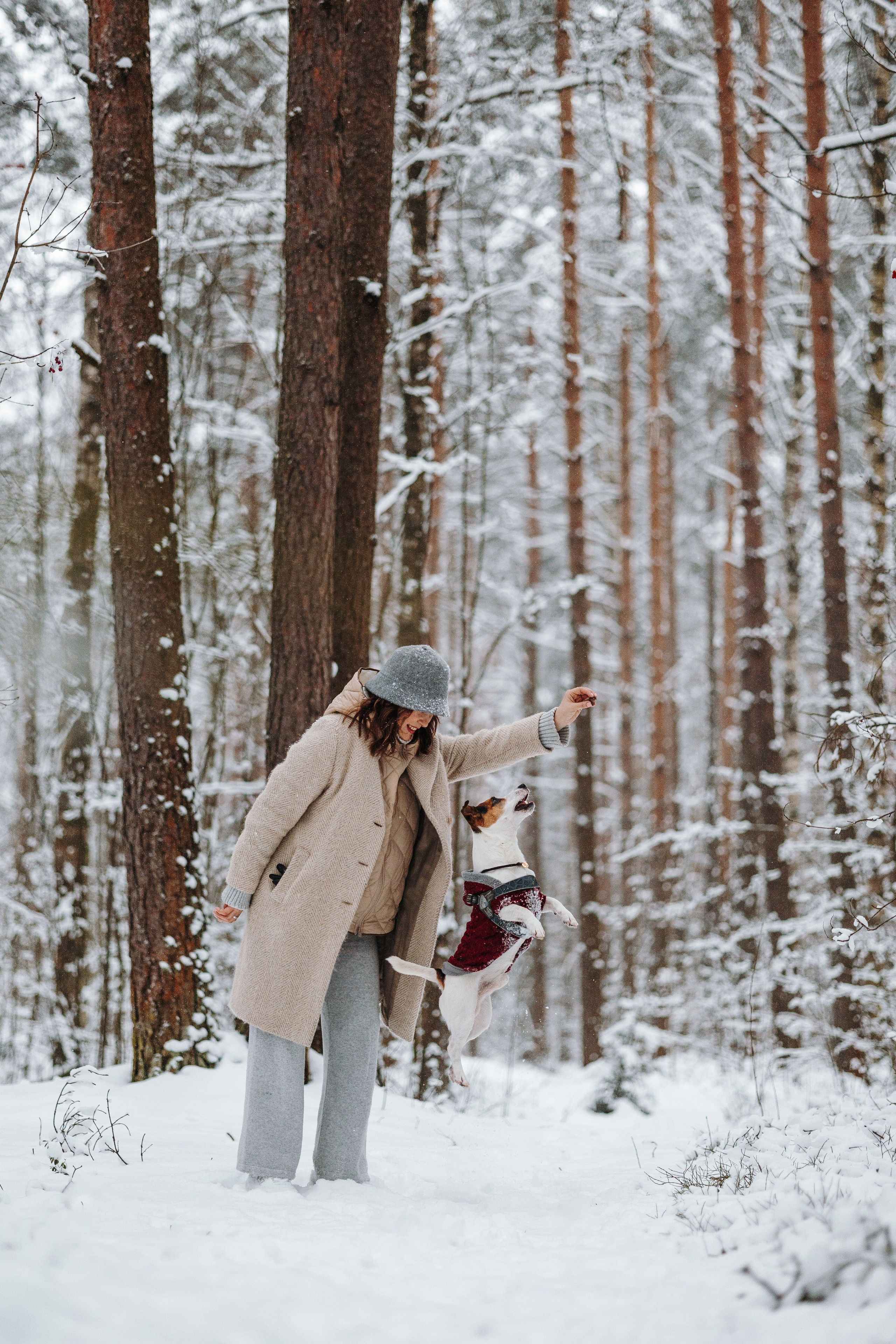 Мики и его семья. Фотограф — Анималист | Санкт-Петербург