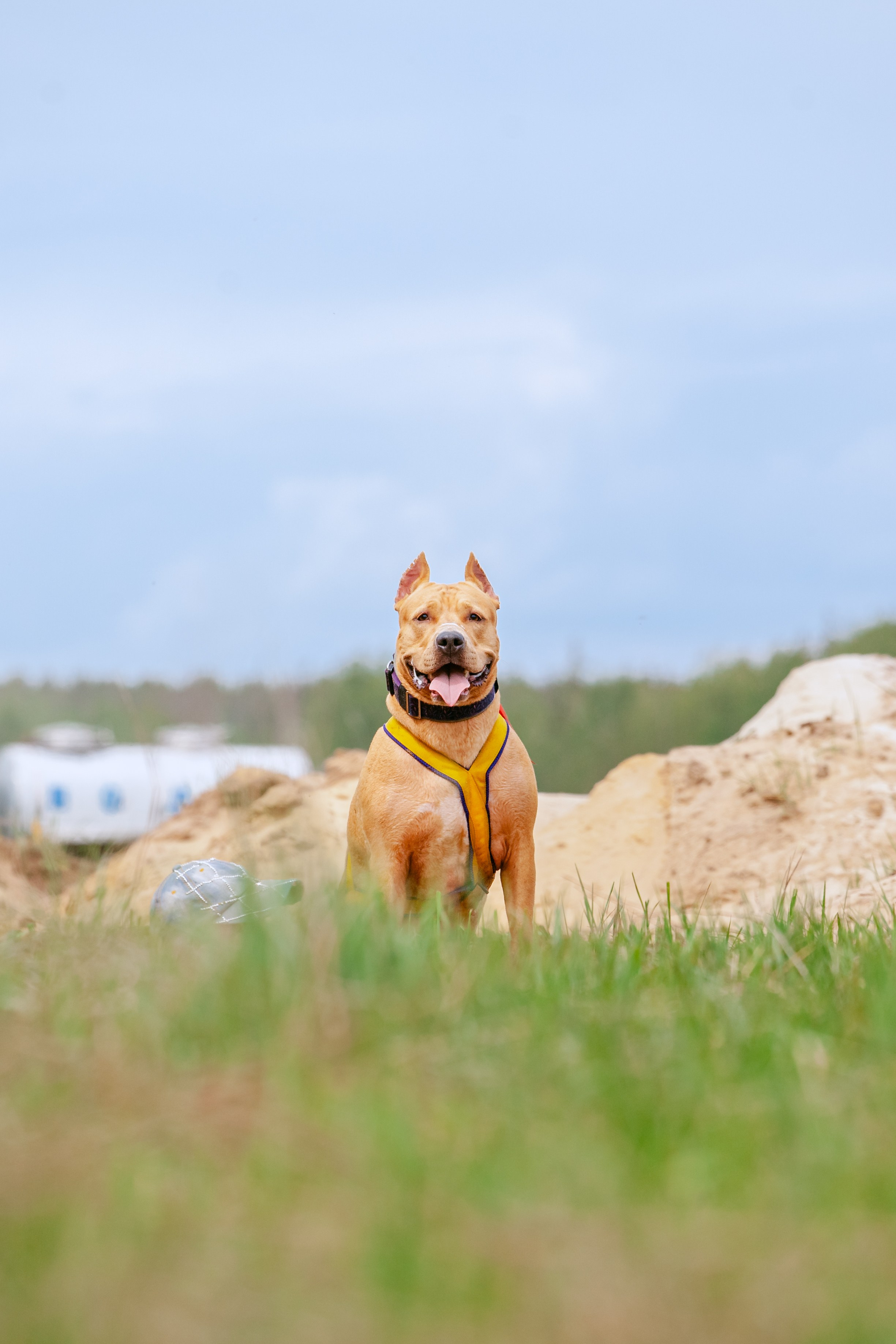 Русский экстрим кросс в Рязанской области 17.05.2025. Фотограф-анималист Татьяна Степанова